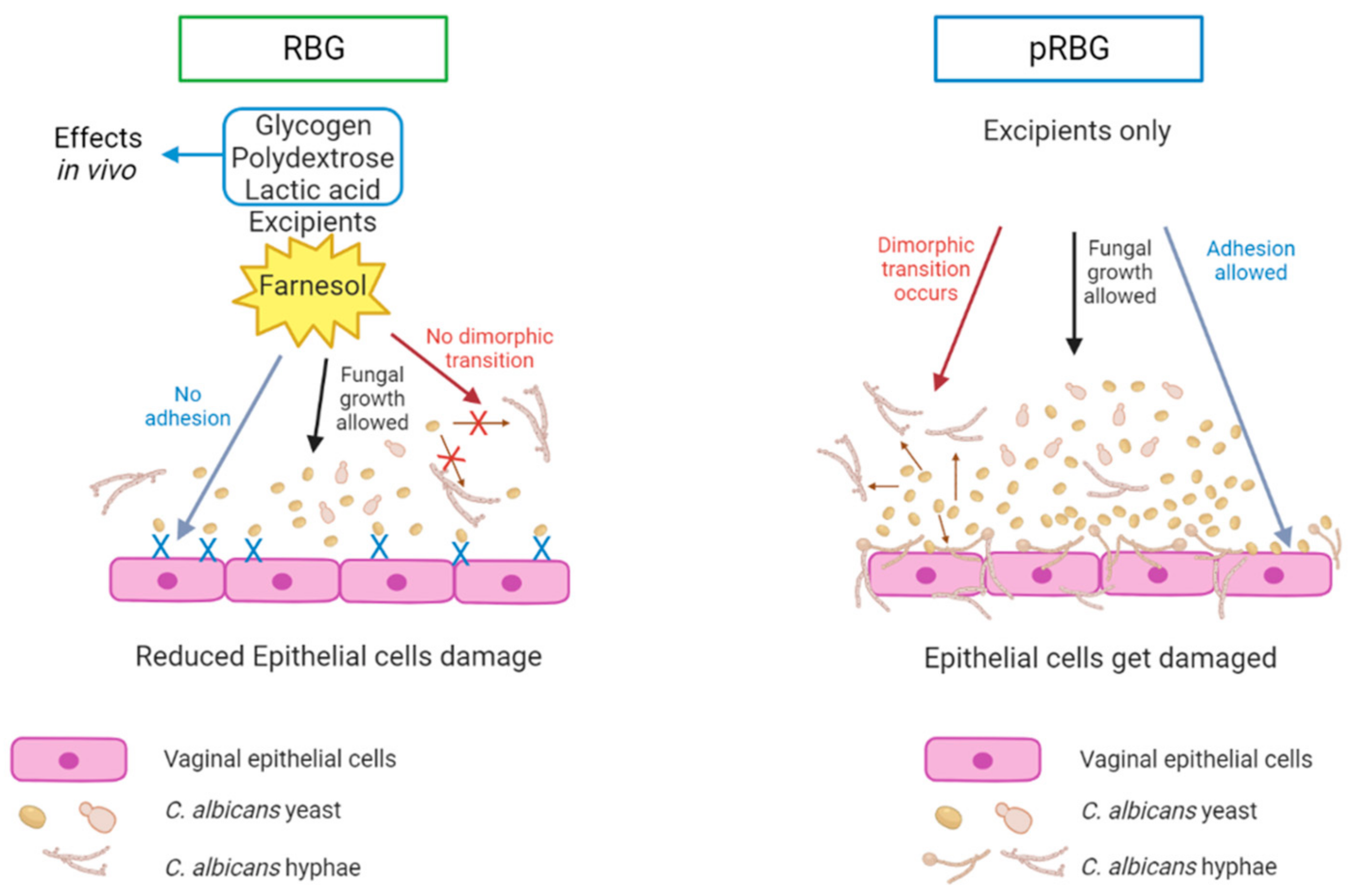Microorganisms 11 01551 g006