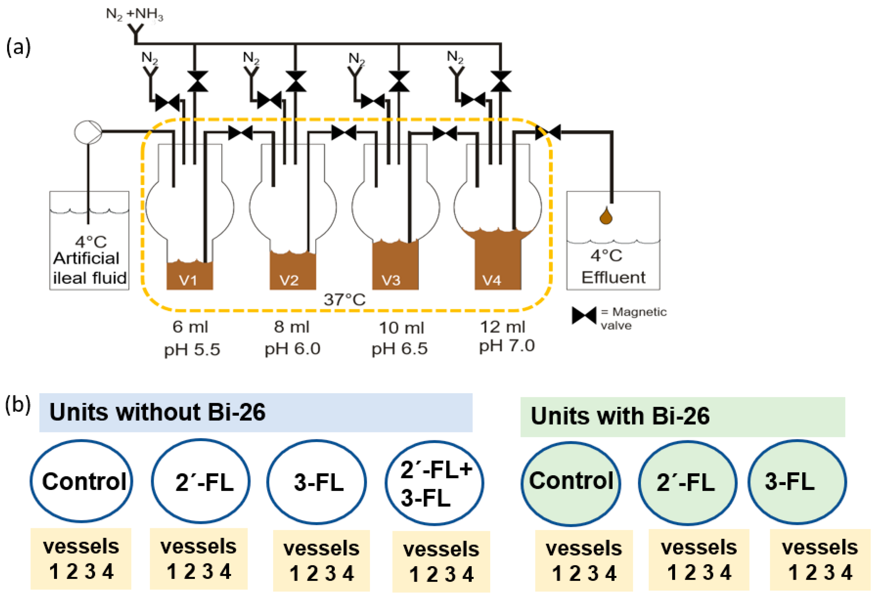 Microorganisms 11 01553 g001 Microorganisms 11 01553 g001