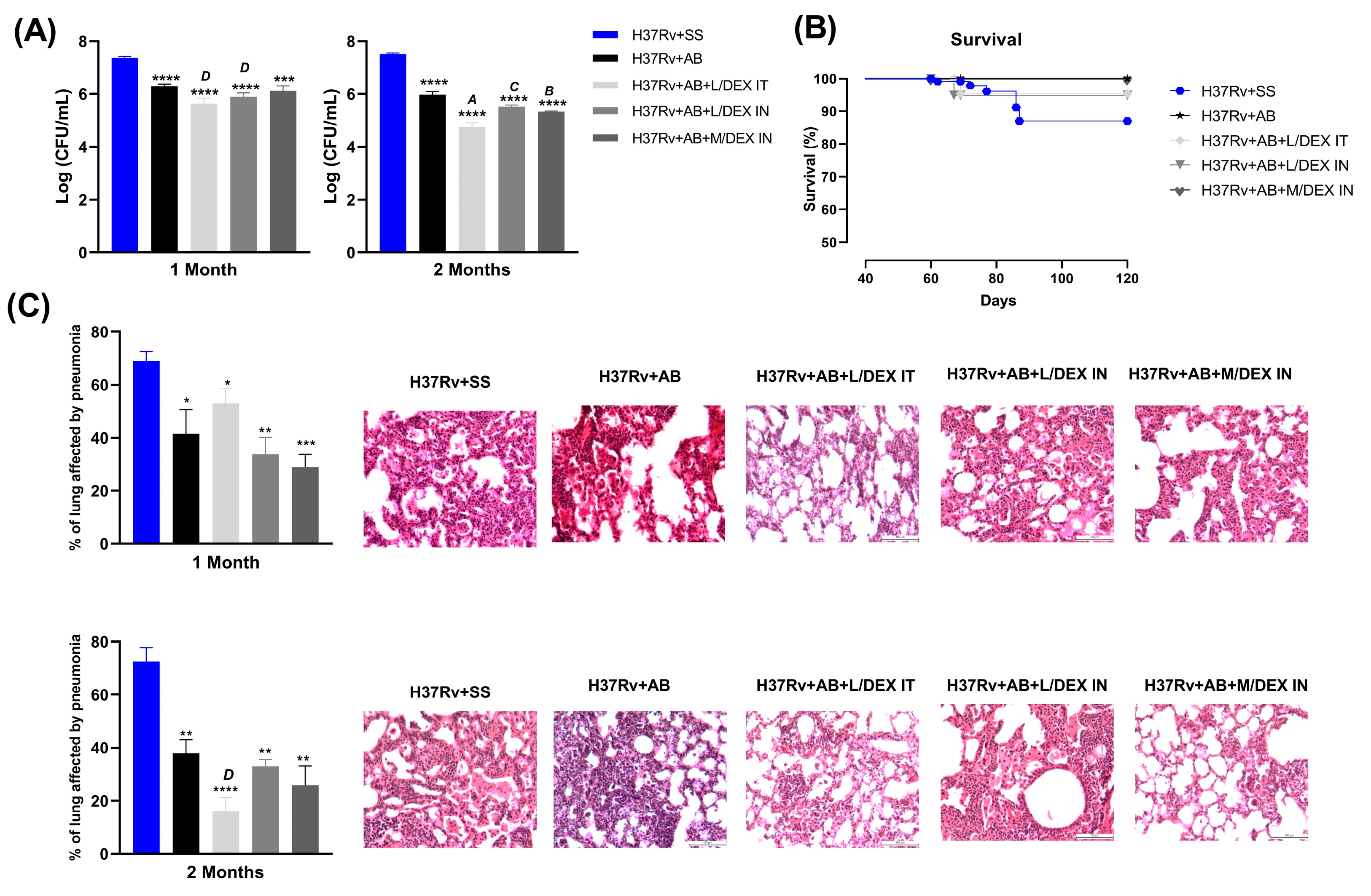 Microorganisms 11 01554 g002