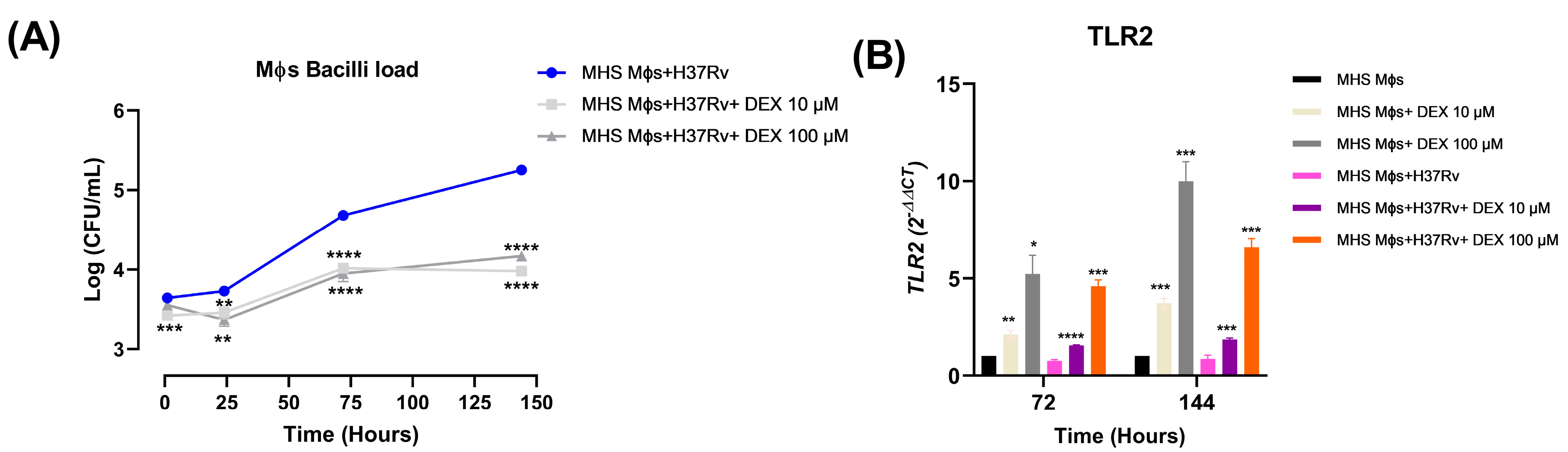 Microorganisms 11 01554 g007