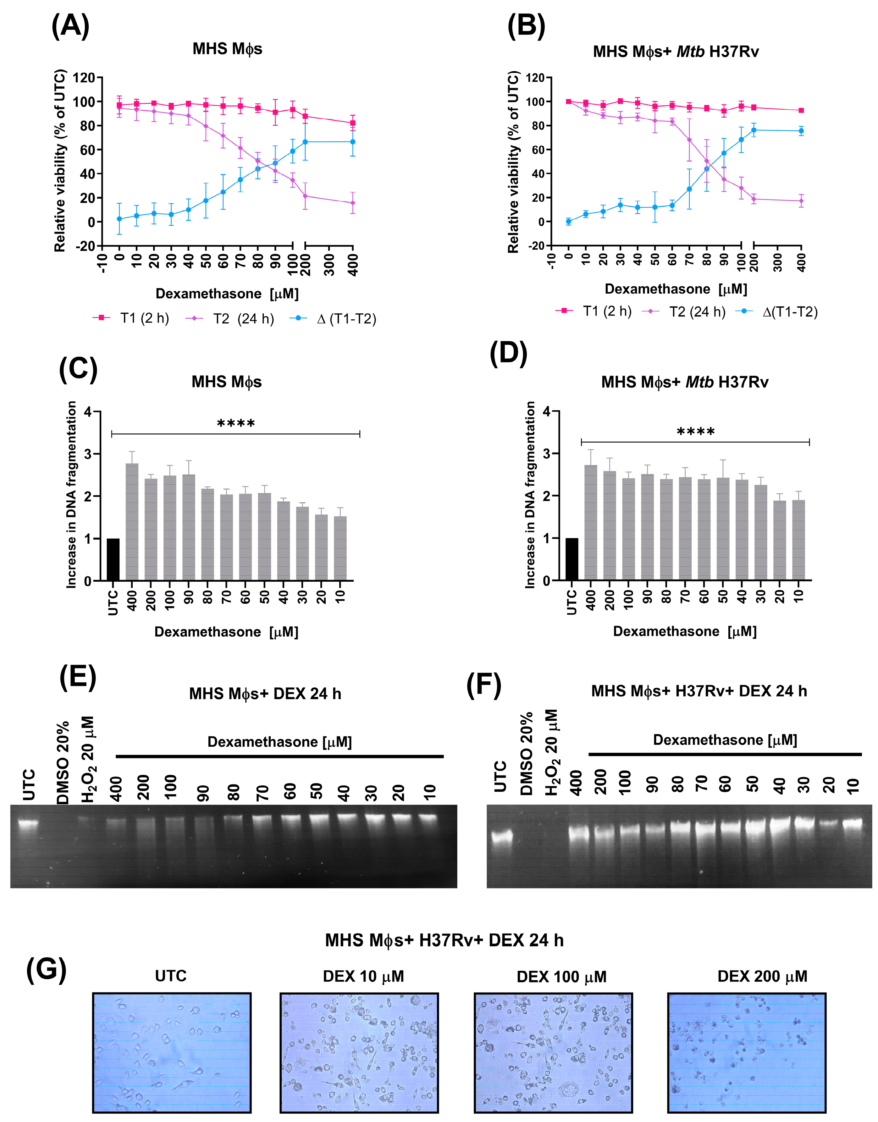 Microorganisms 11 01554 g008