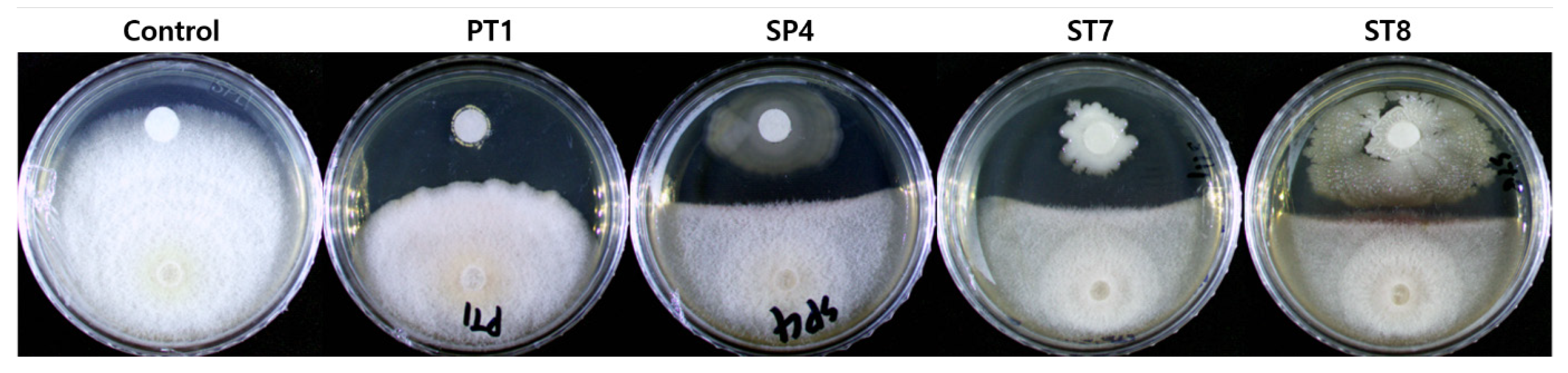 Microorganisms 11 01555 g002 Microorganisms 11 01555 g002