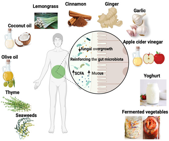 Antifungal foods discount