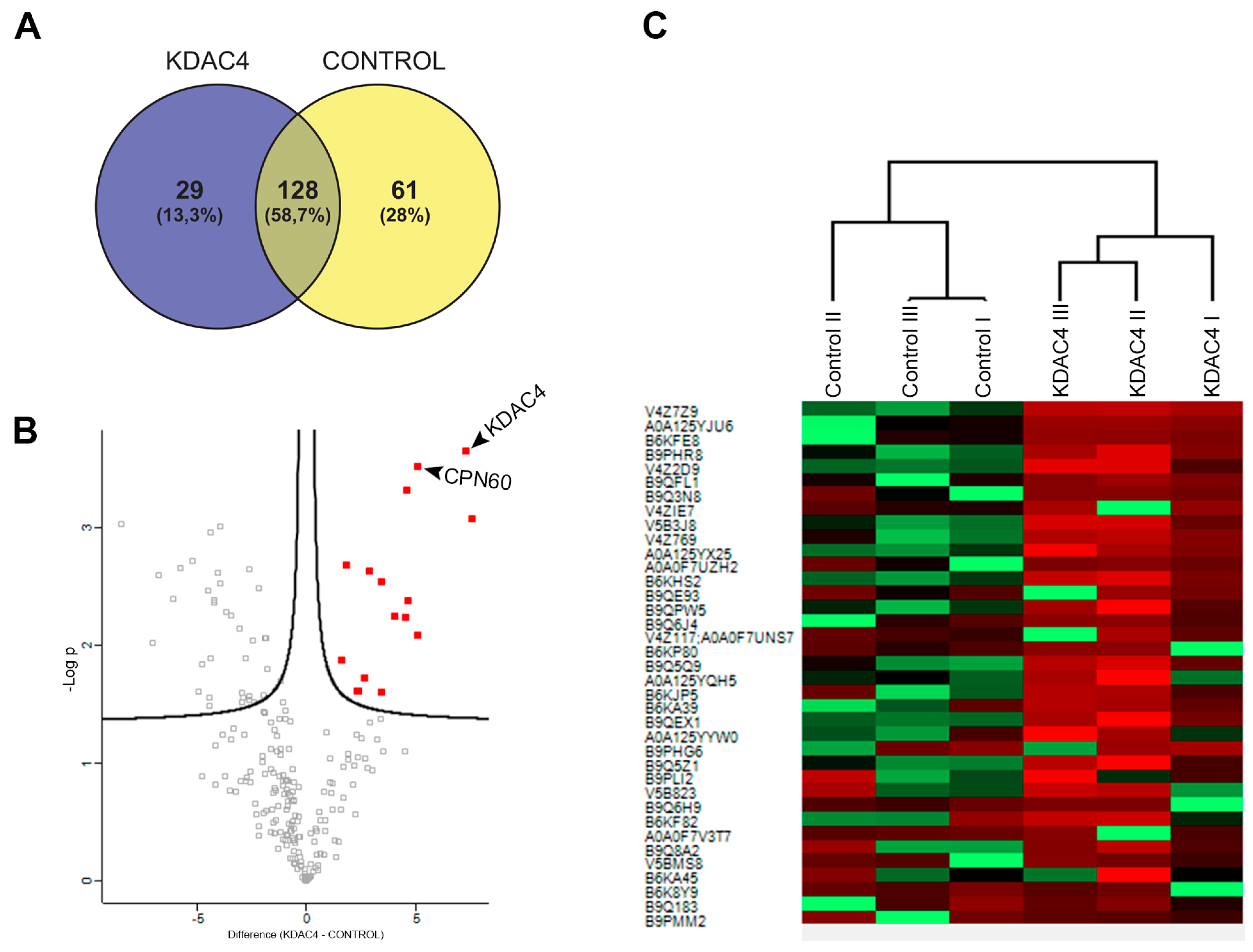 Microorganisms 11 01558 g005