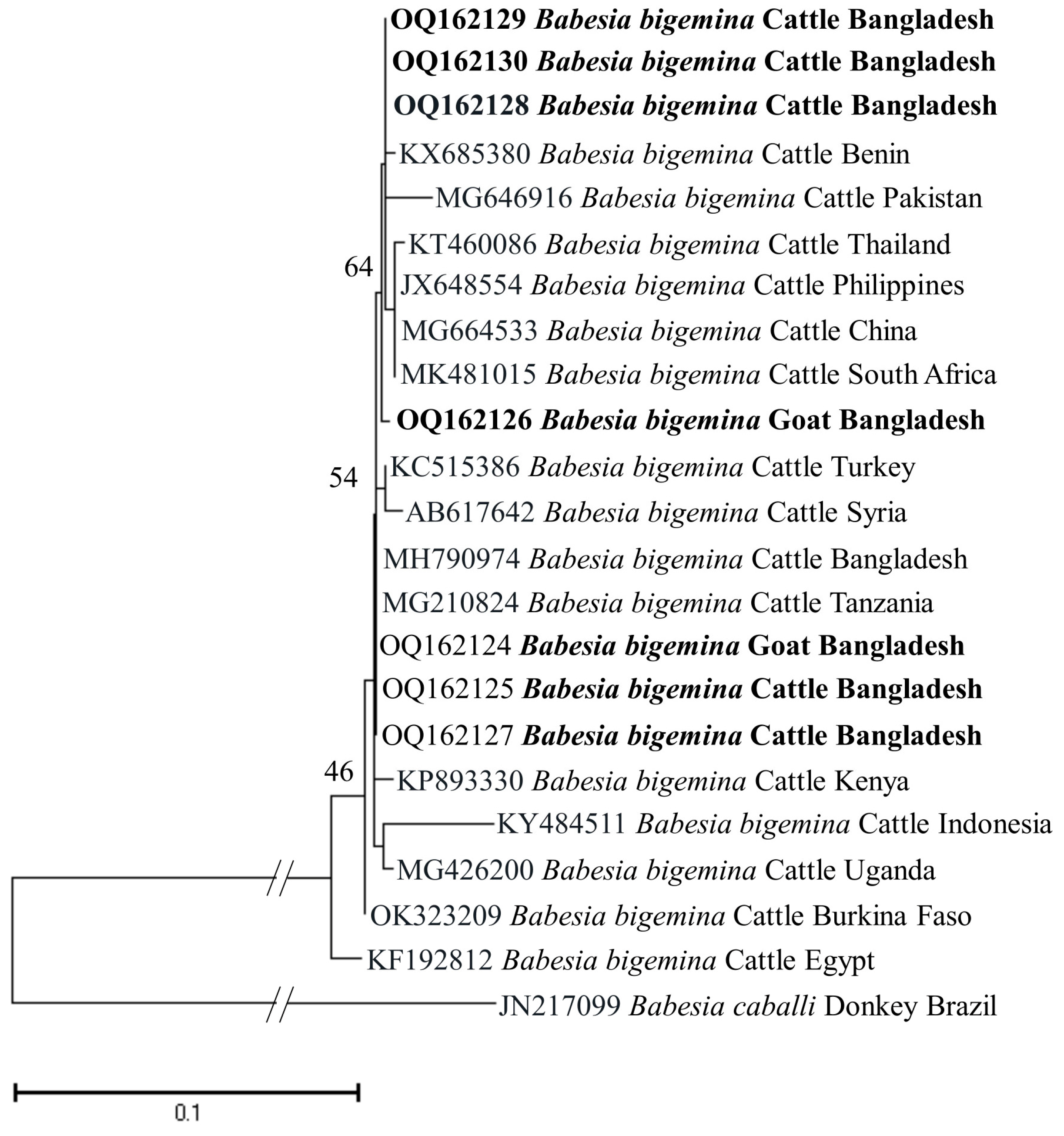 Microorganisms 11 01563 g002