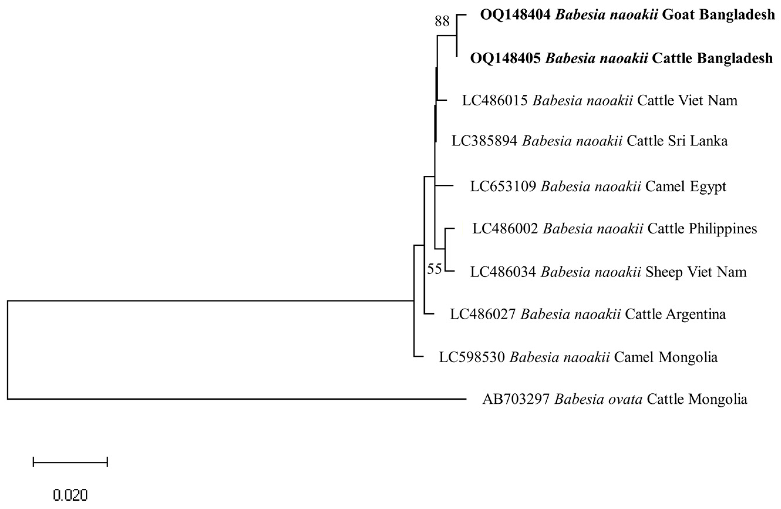 Microorganisms 11 01563 g004