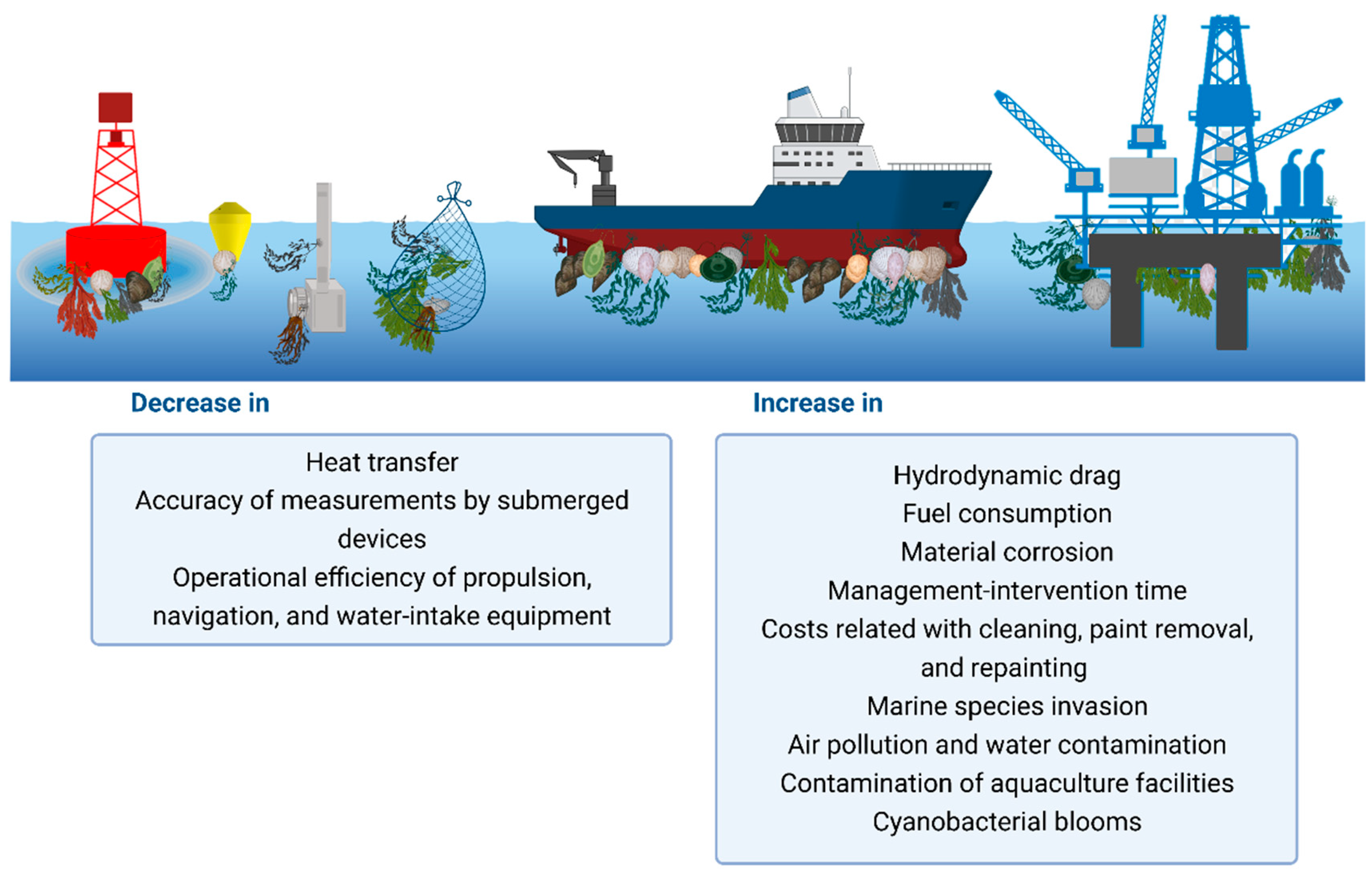 Microorganisms 11 01568 g002 Microorganisms 11 01568 g002