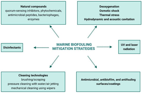 Bioinspired antifouling Fe-based amorphous coating via killing