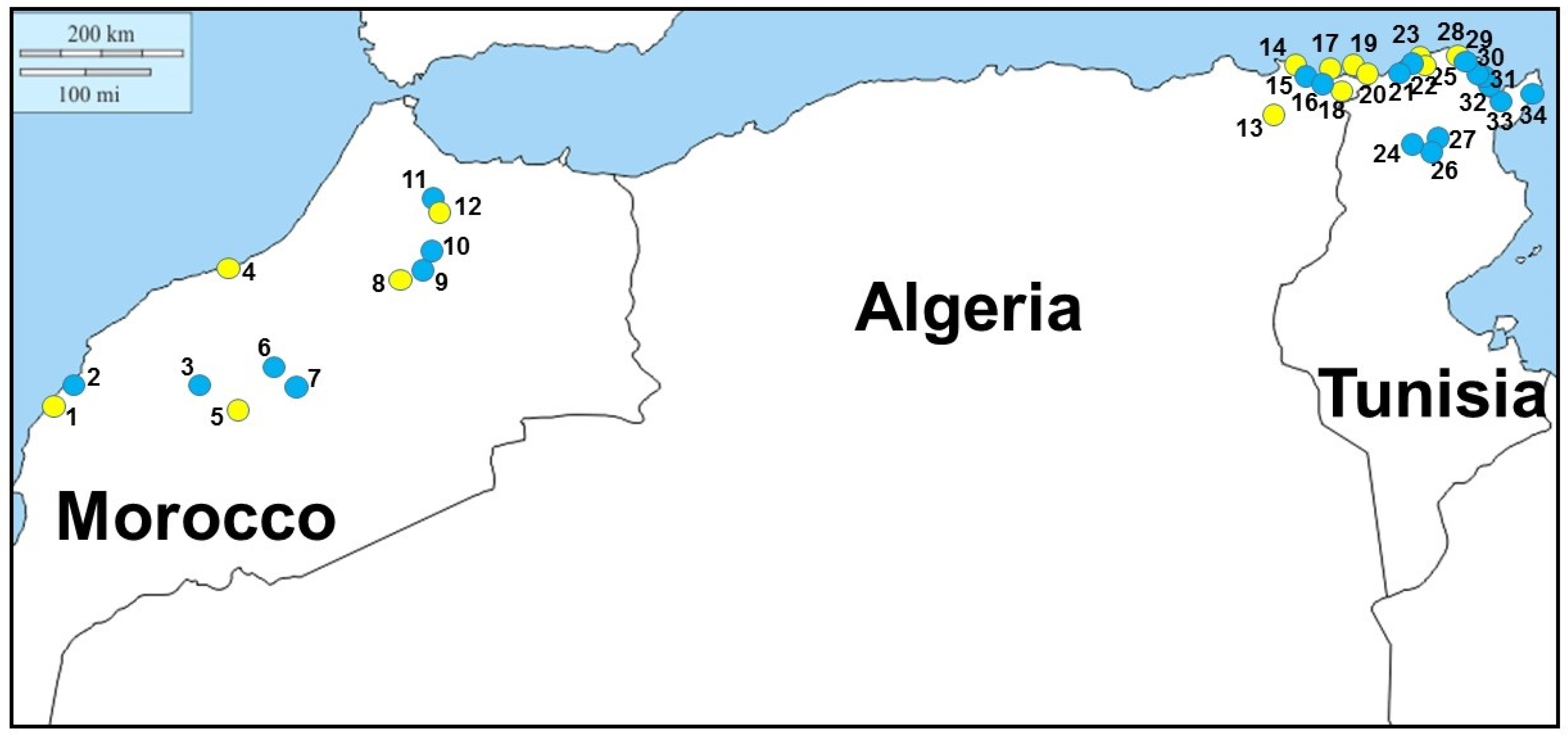 Microorganisms 11 01584 g001