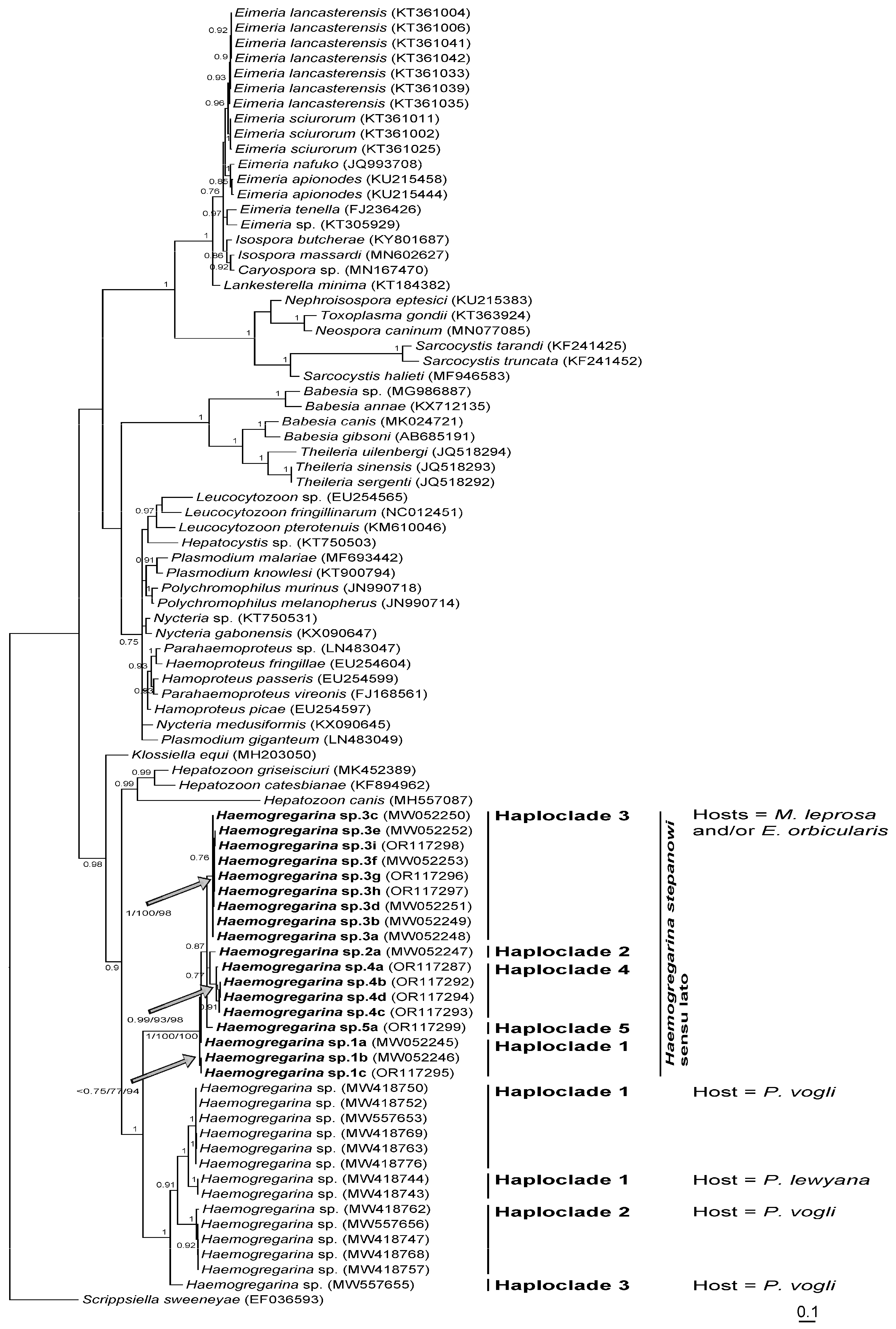 Microorganisms 11 01584 g003