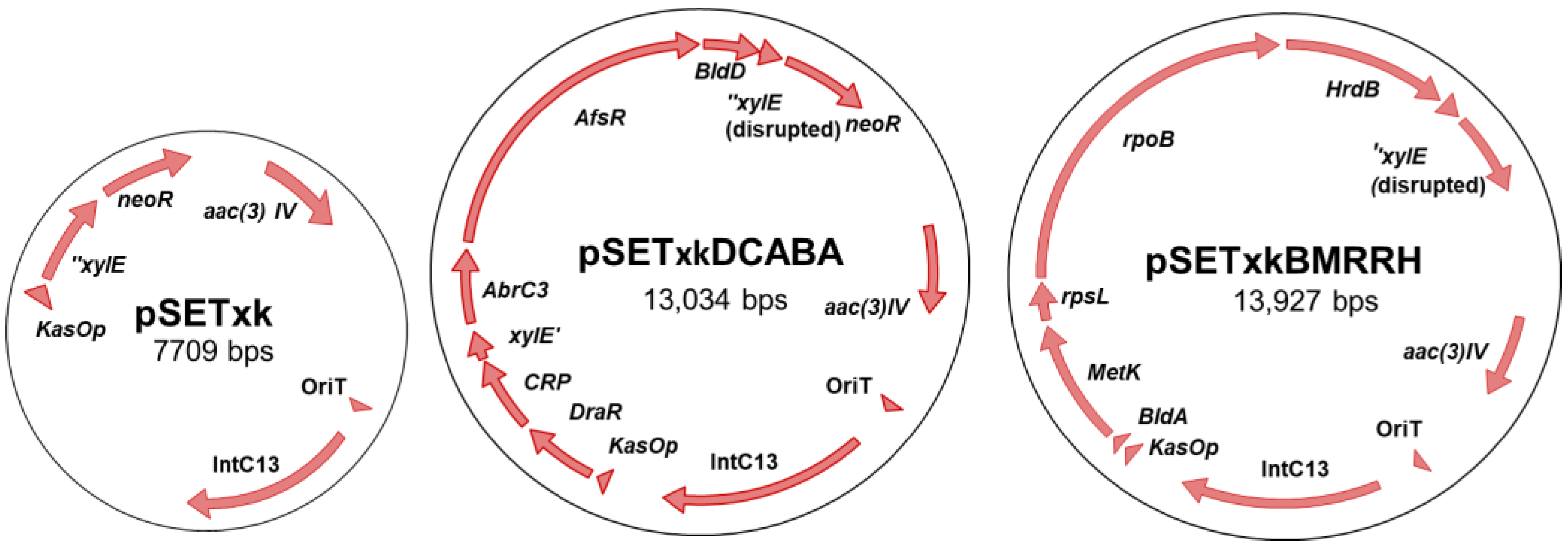 Microorganisms 11 01585 g001