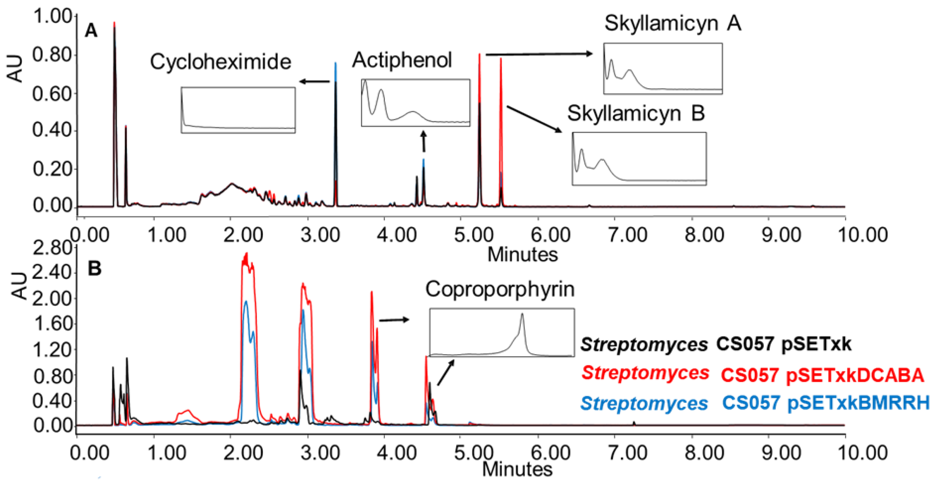 Microorganisms 11 01585 g004