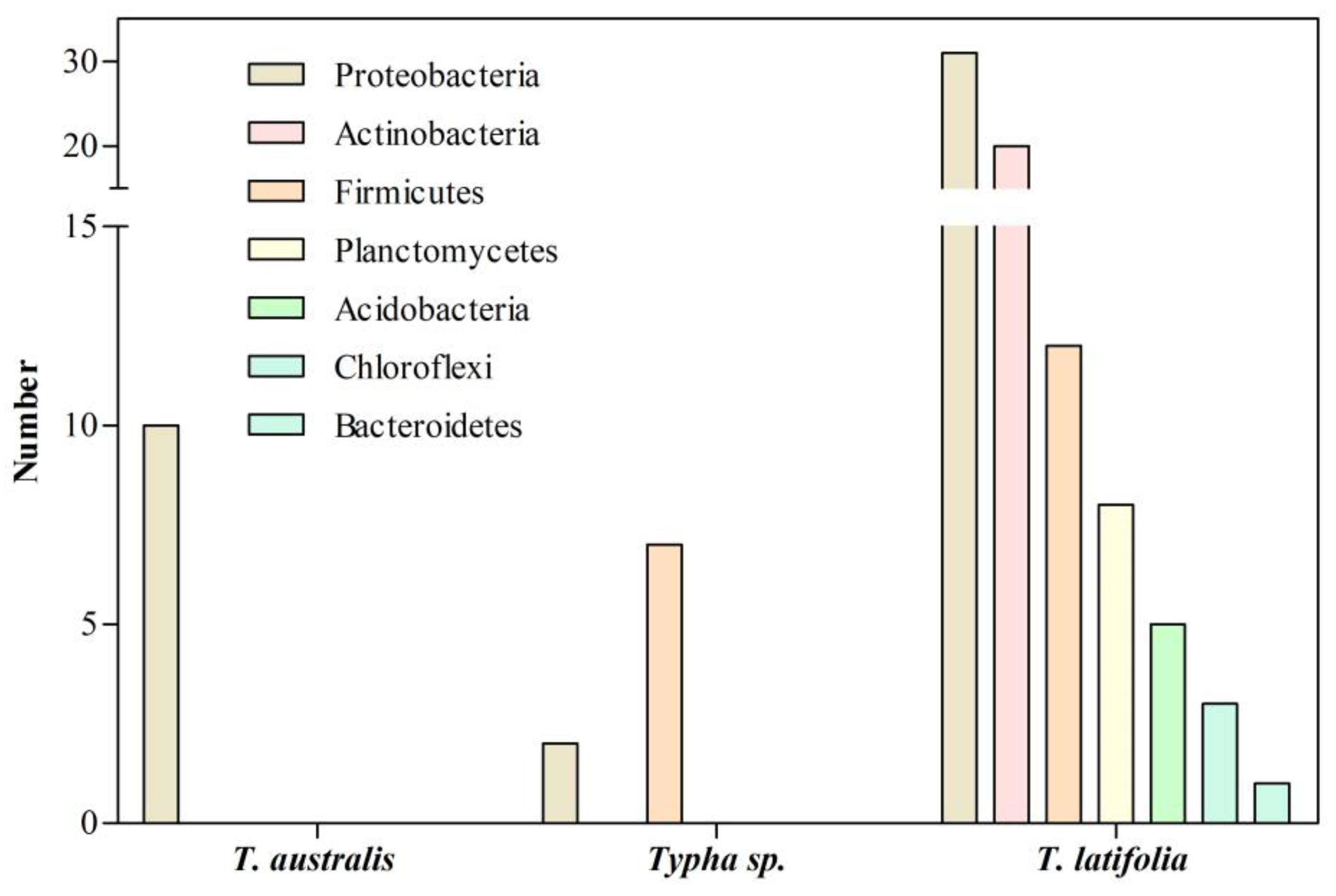 Microorganisms 11 01587 g004 550