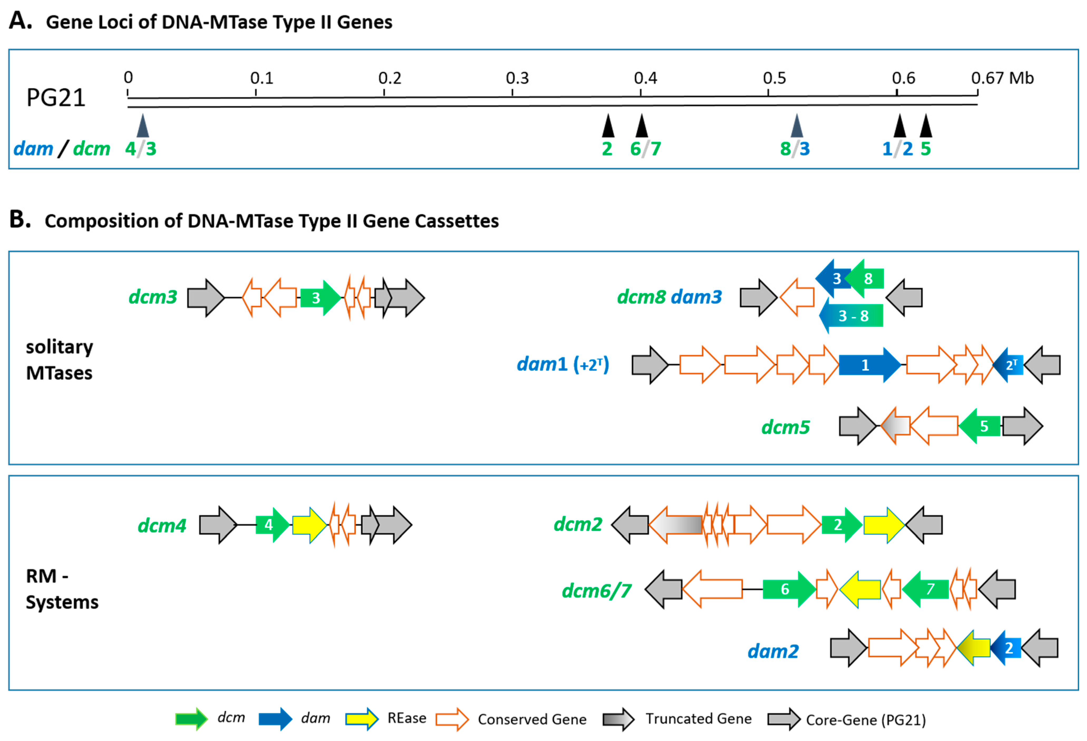 Microorganisms 11 01591 g002 Microorganisms 11 01591 g002