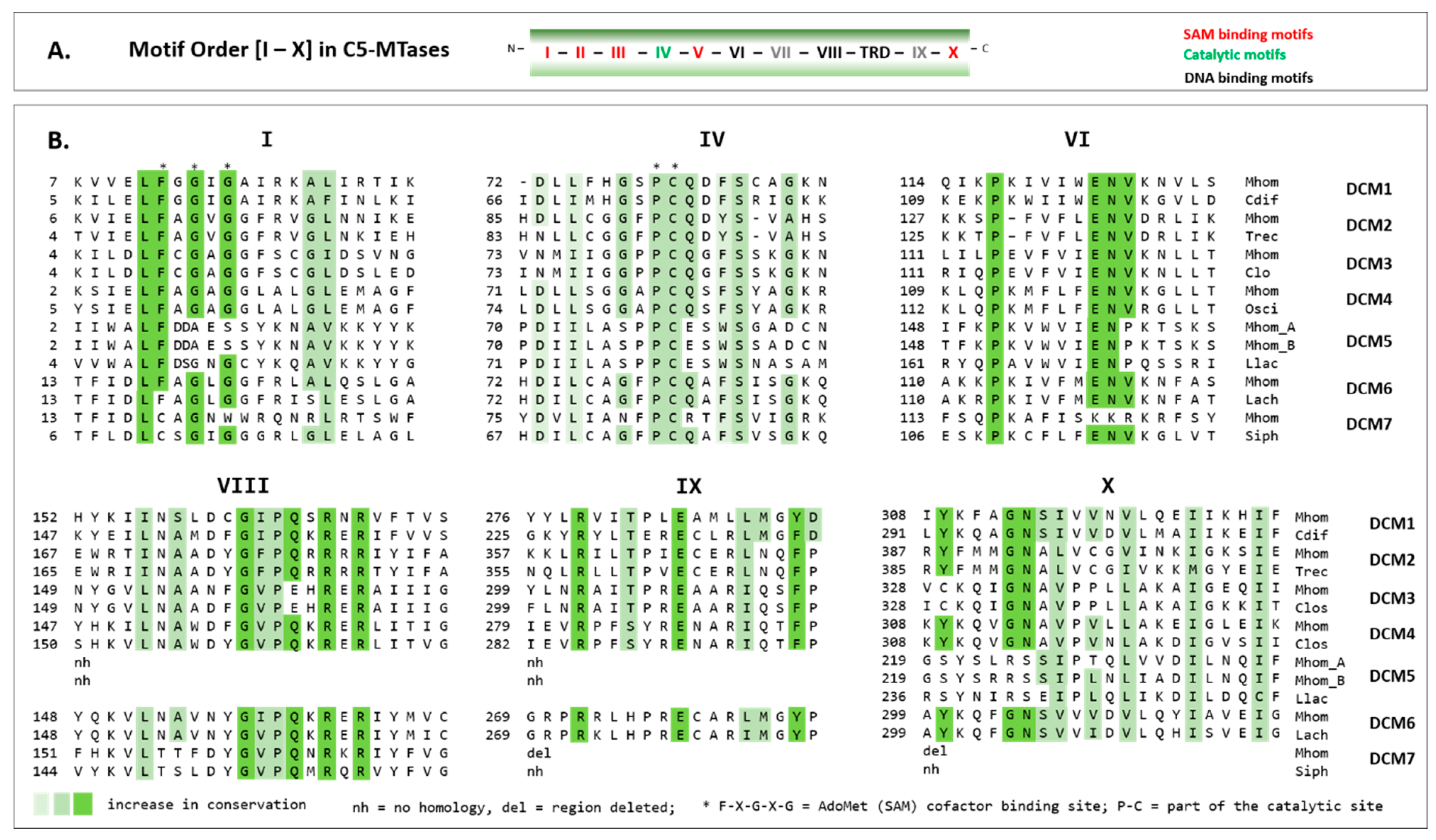Microorganisms 11 01591 g005 Microorganisms 11 01591 g005