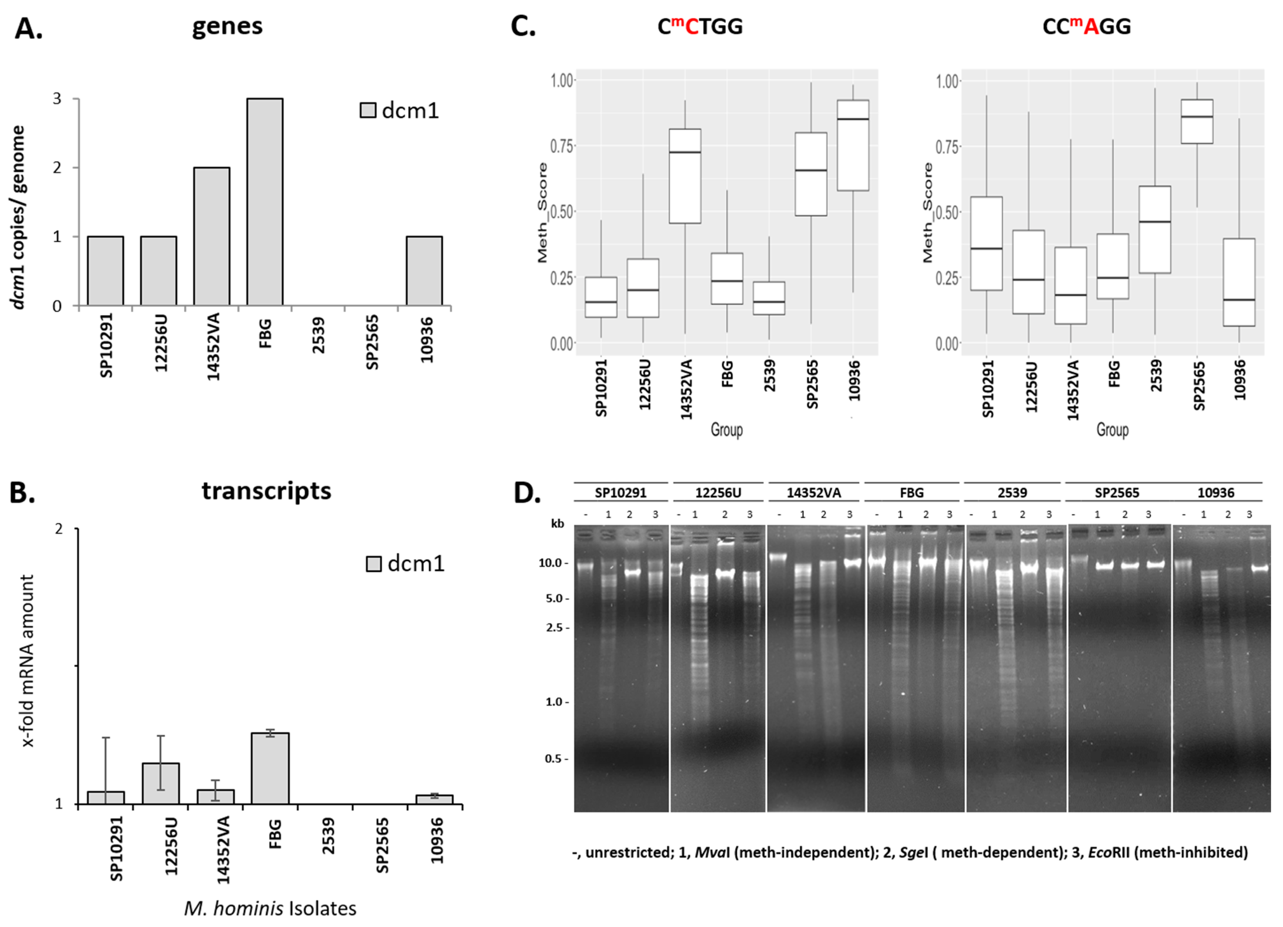 Microorganisms 11 01591 g007 Microorganisms 11 01591 g007