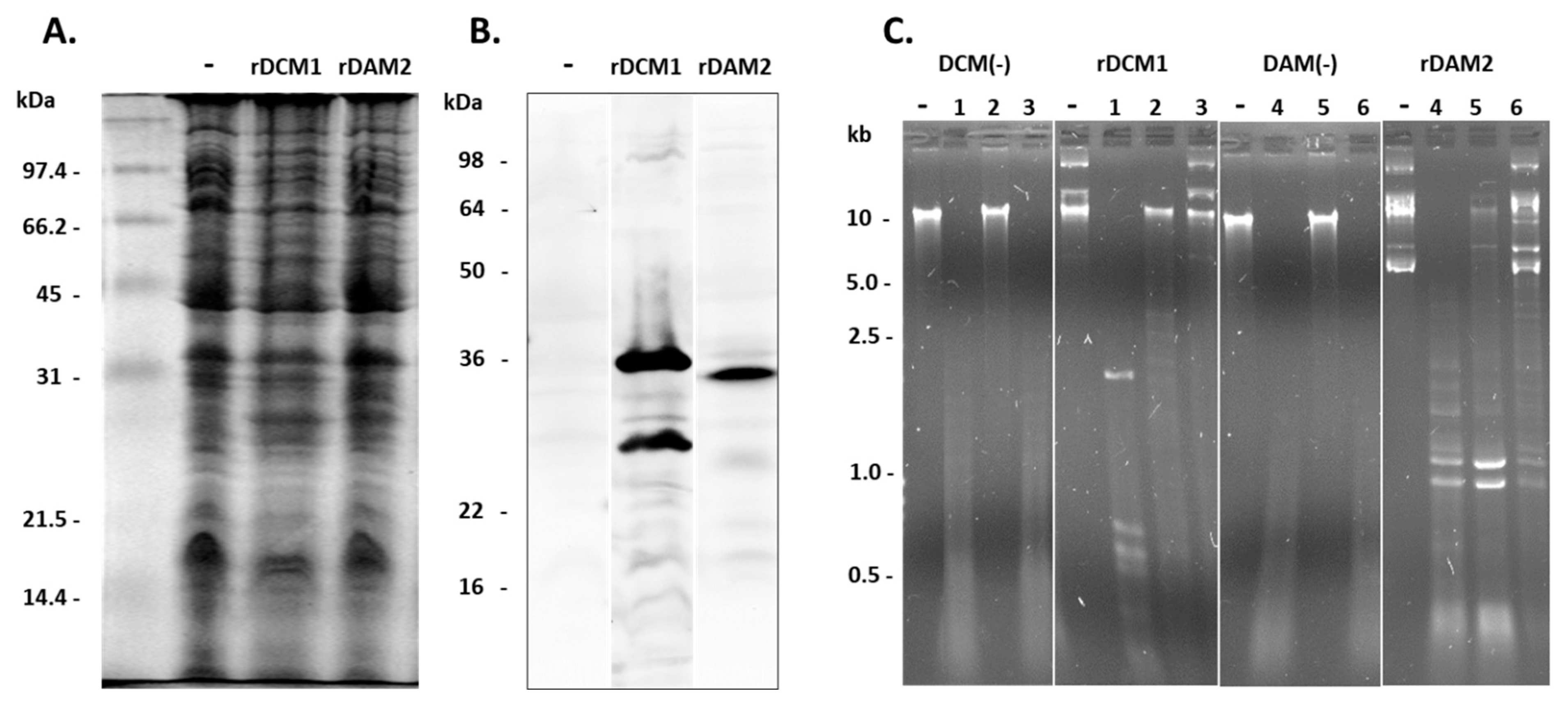 Microorganisms 11 01591 g009 Microorganisms 11 01591 g009