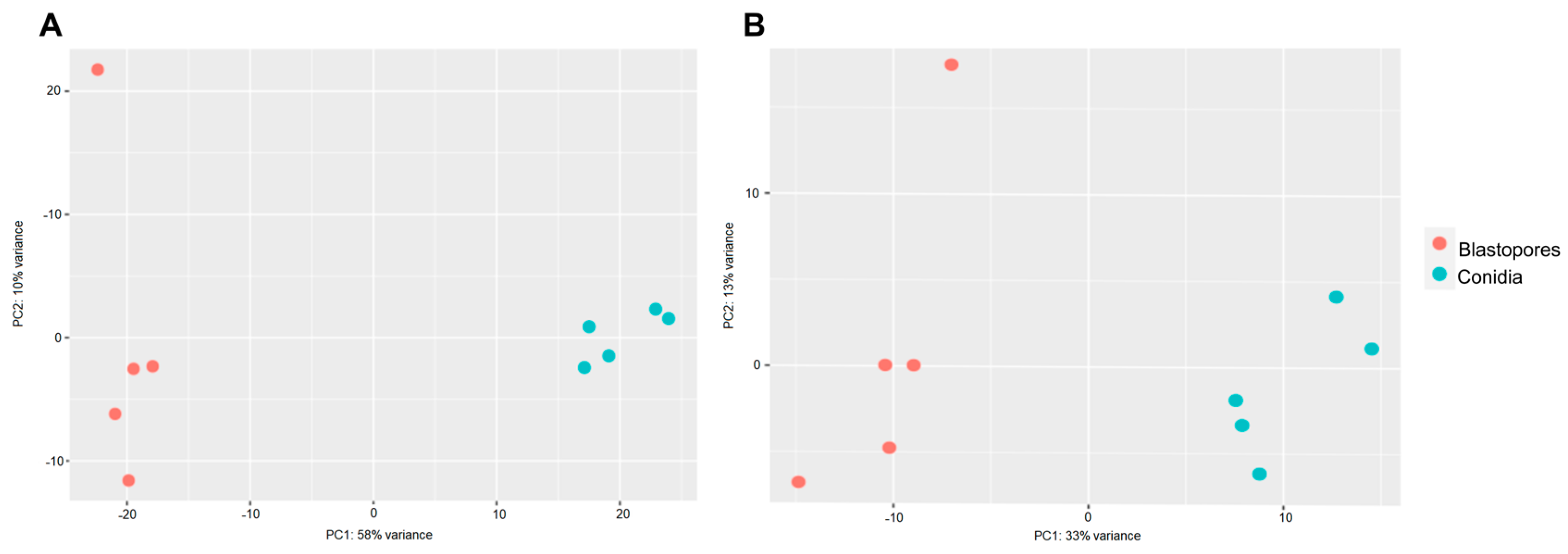 Microorganisms 11 01594 g004 Microorganisms 11 01594 g004