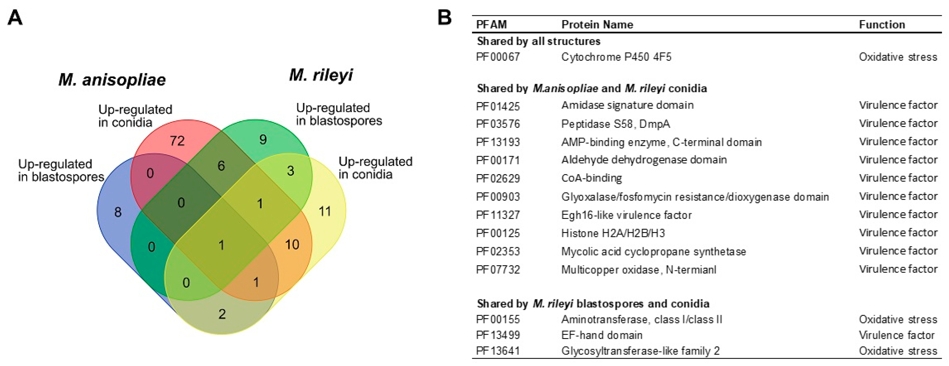 Microorganisms 11 01594 g006 Microorganisms 11 01594 g006