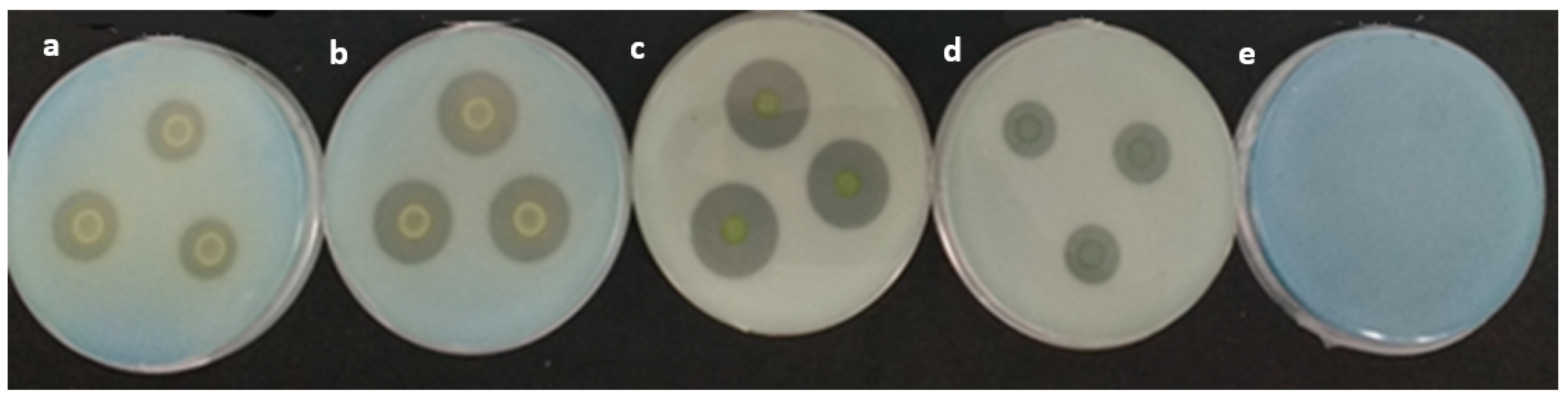 Microorganisms 11 01596 g001 Microorganisms 11 01596 g001