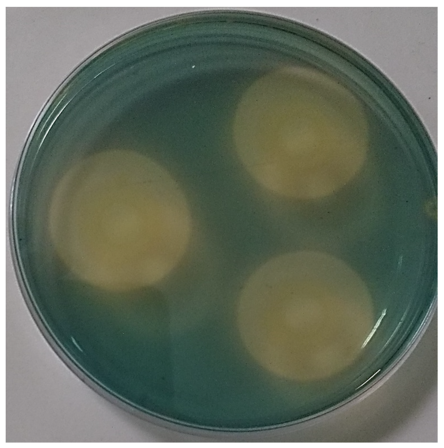 Microorganisms 11 01596 g004 Microorganisms 11 01596 g004