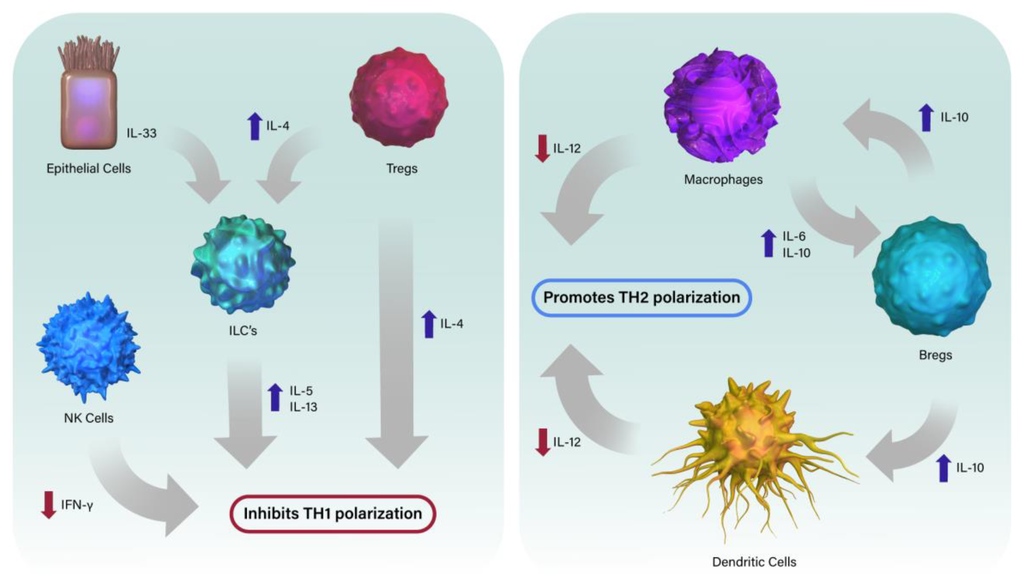 Microorganisms 11 01597 g001 Microorganisms 11 01597 g001