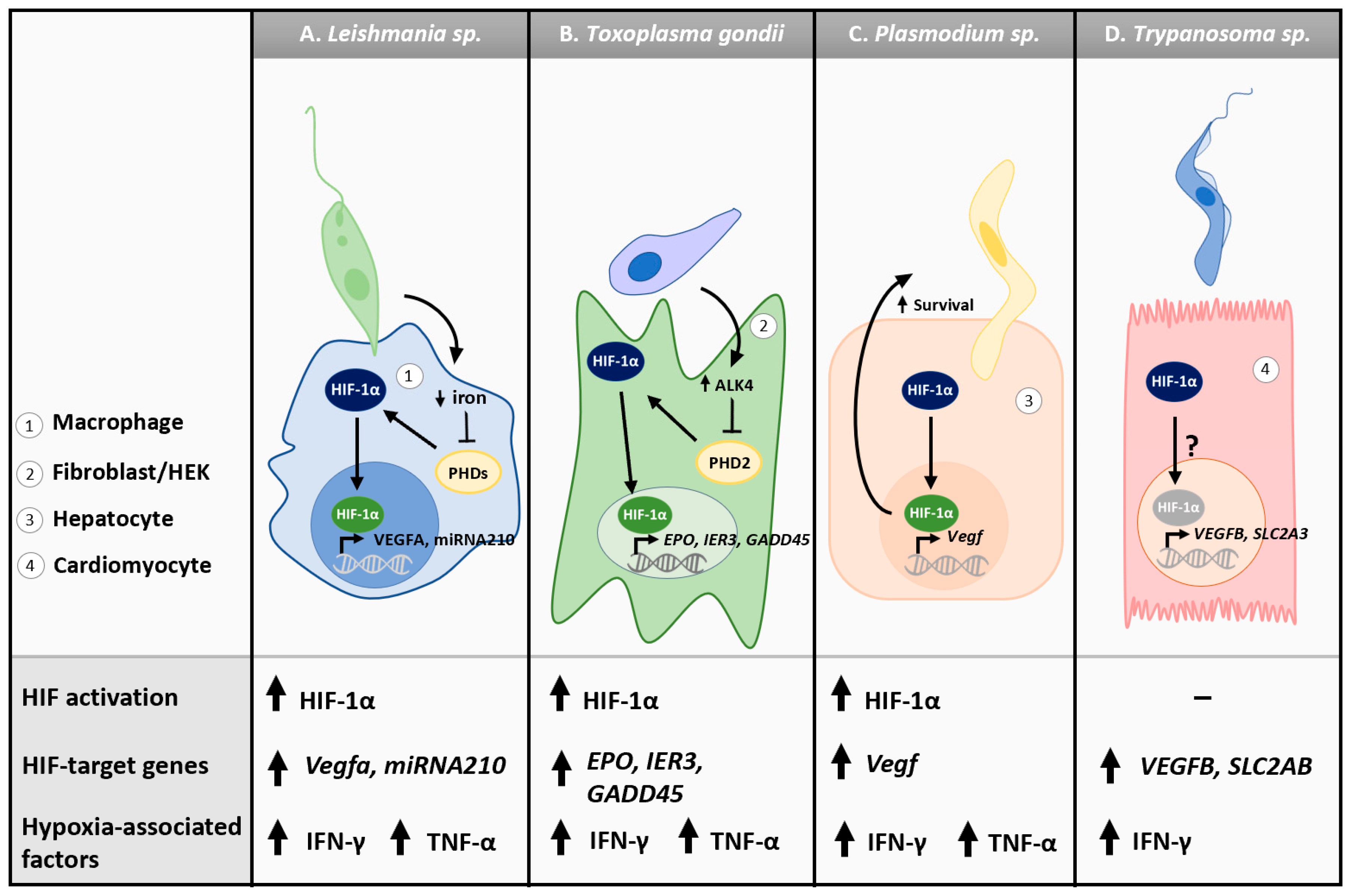 Microorganisms 11 01598 g002 Microorganisms 11 01598 g002