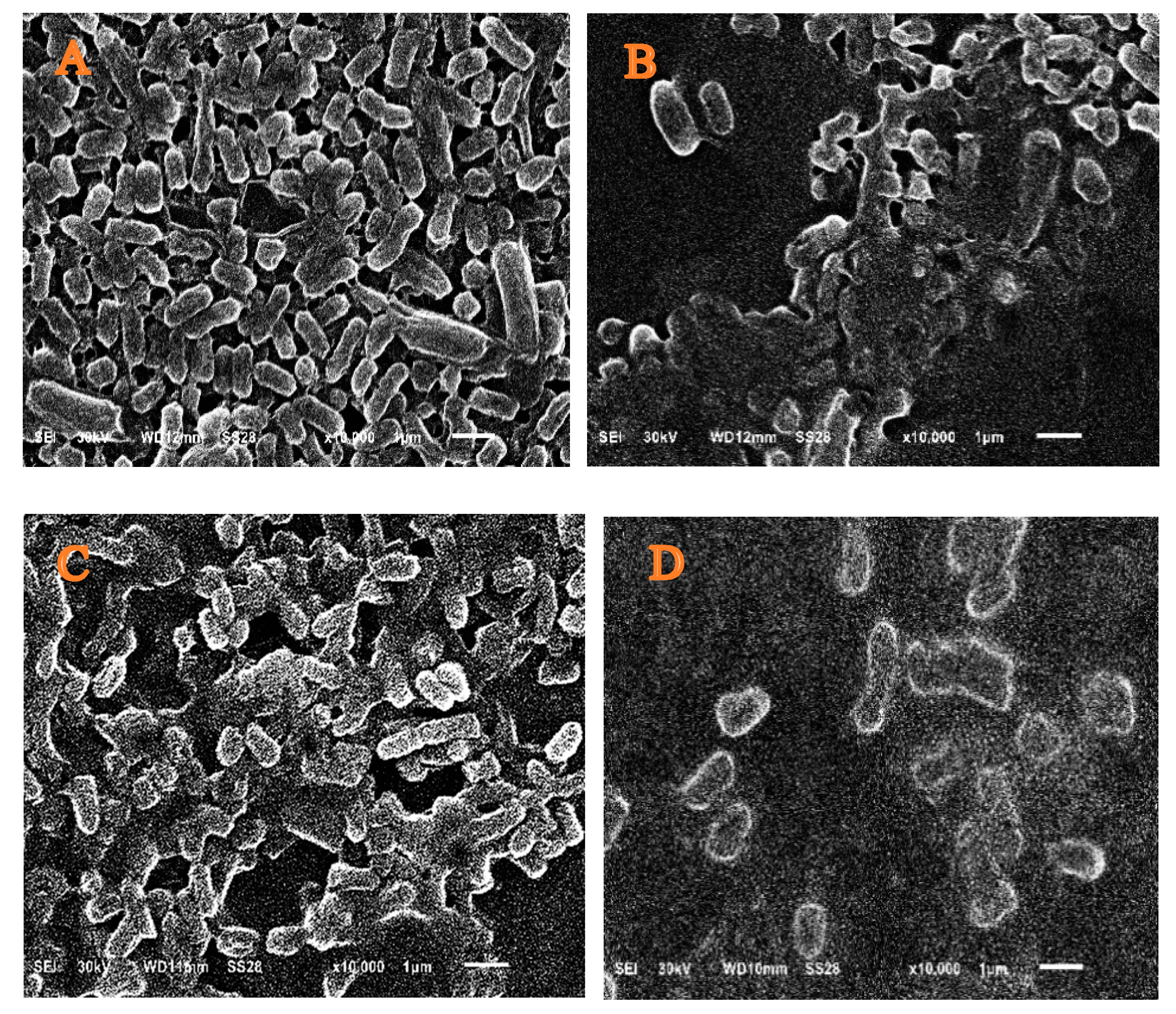 Microorganisms 11 01601 g003 Microorganisms 11 01601 g003