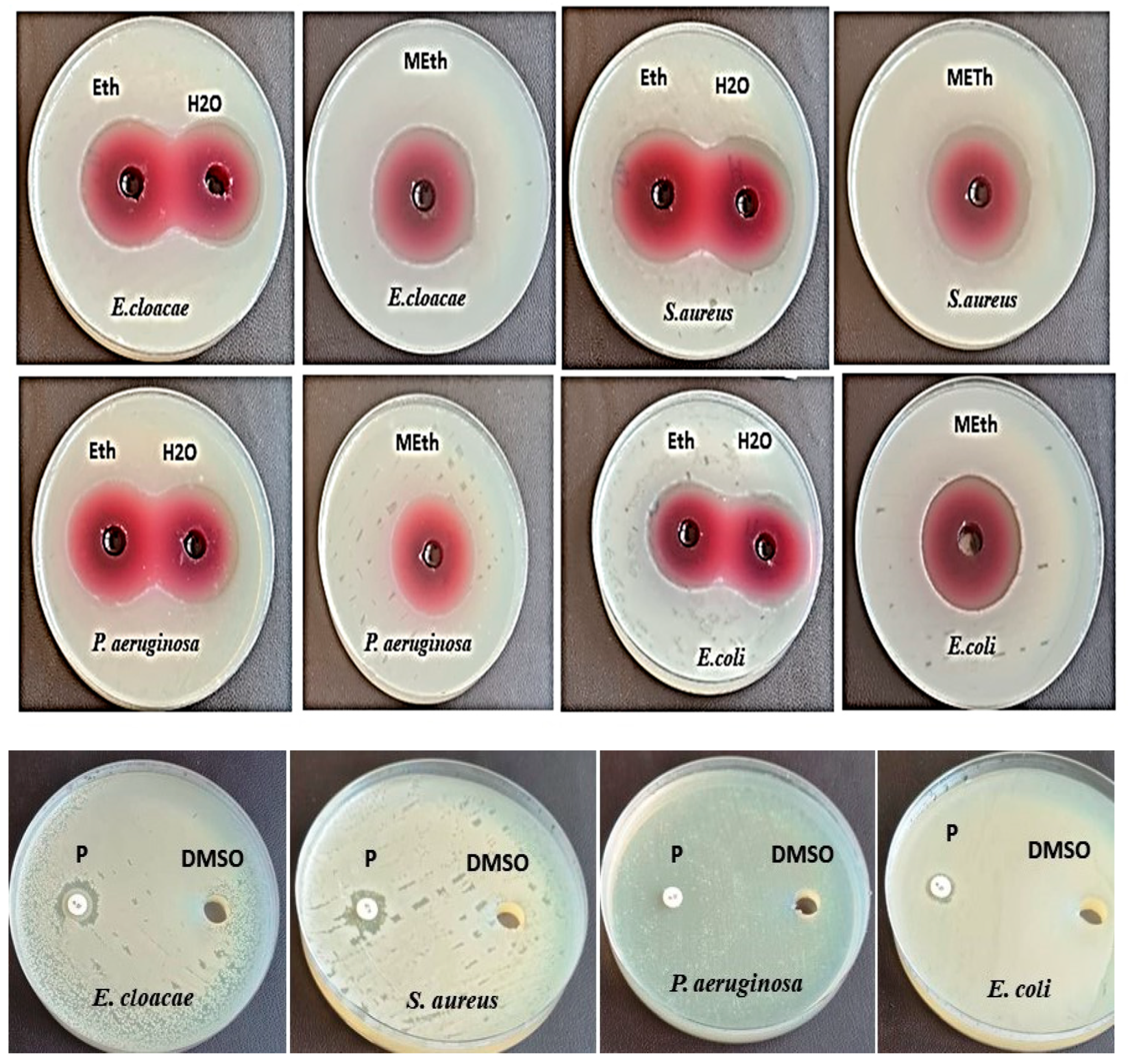 Microorganisms 11 01601 sch001 Microorganisms 11 01601 sch001