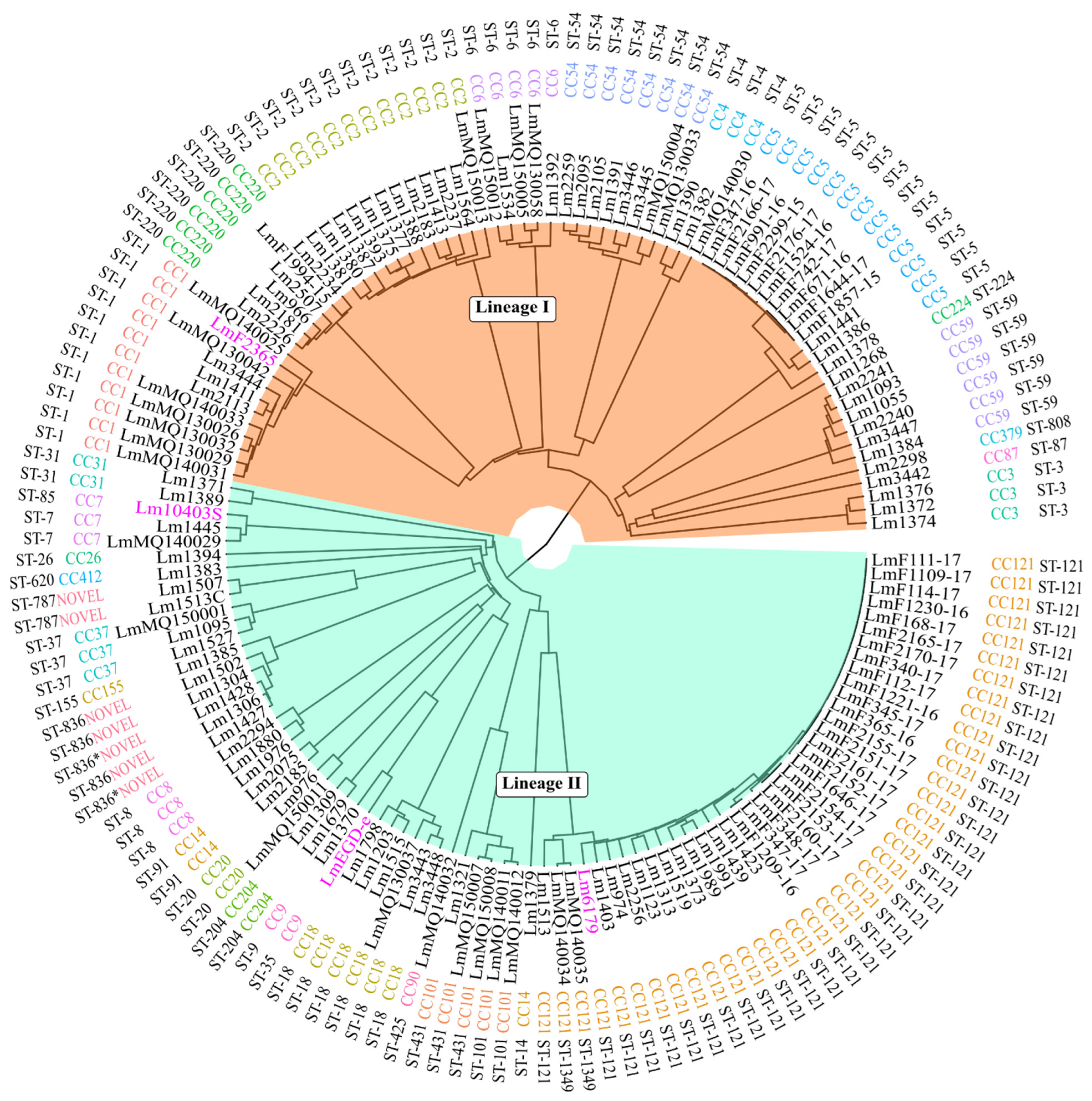 Microorganisms 11 01603 g001 Microorganisms 11 01603 g001