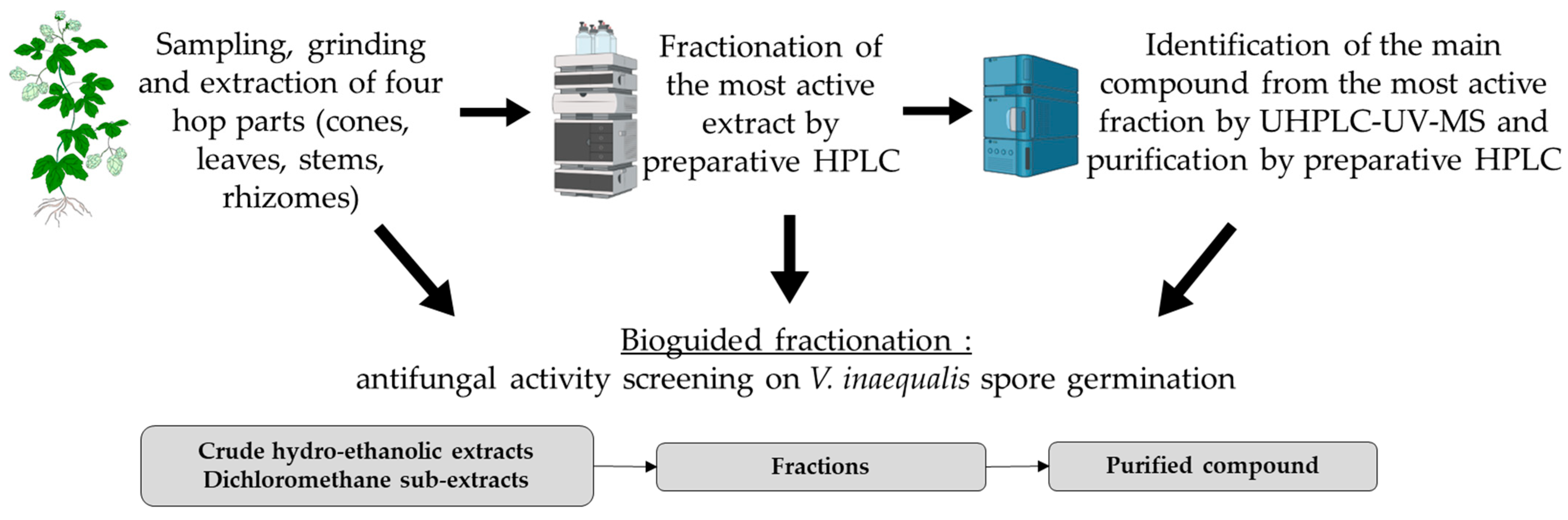 Microorganisms 11 01605 g001 Microorganisms 11 01605 g001