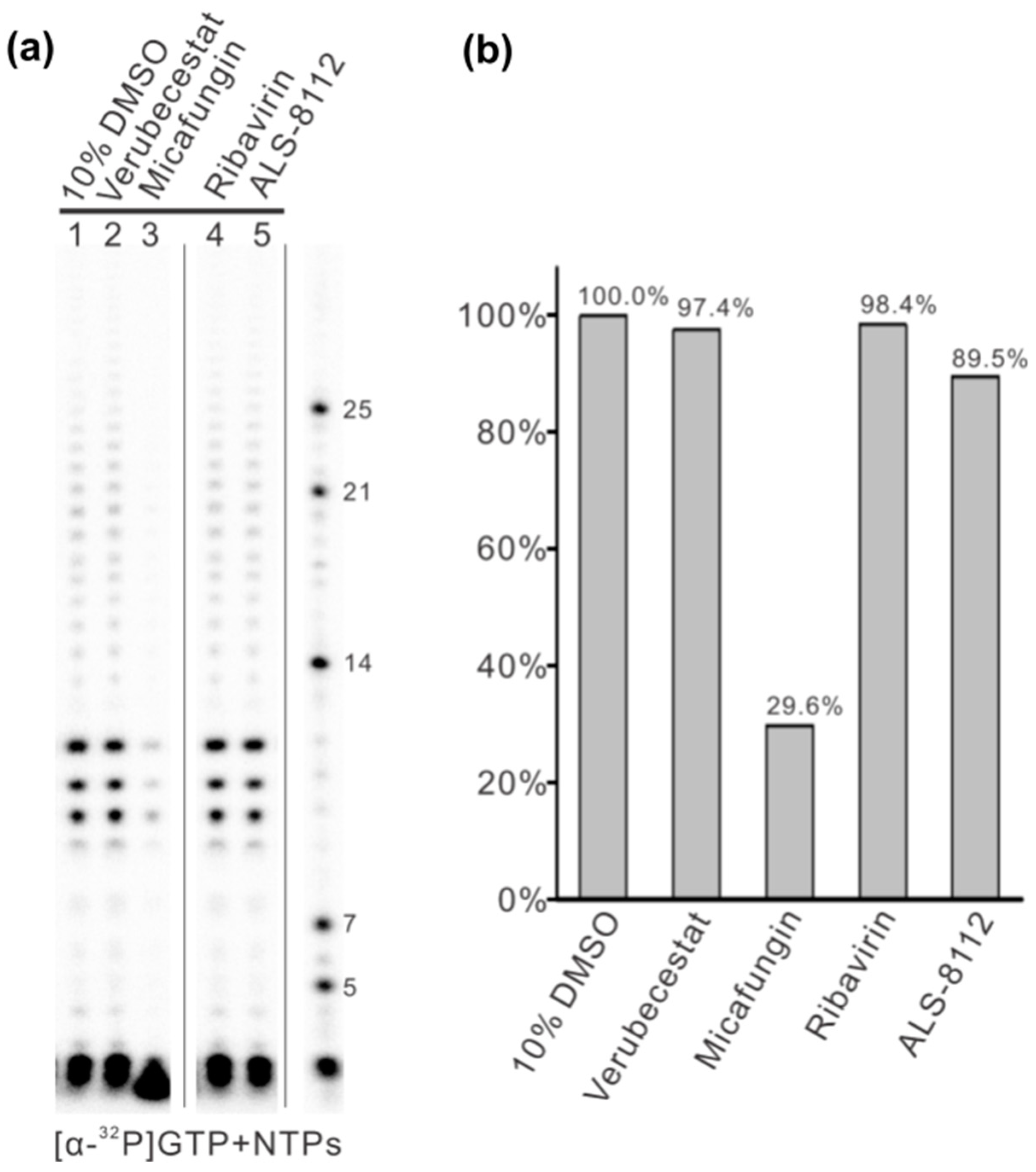 Microorganisms 11 01608 g004
