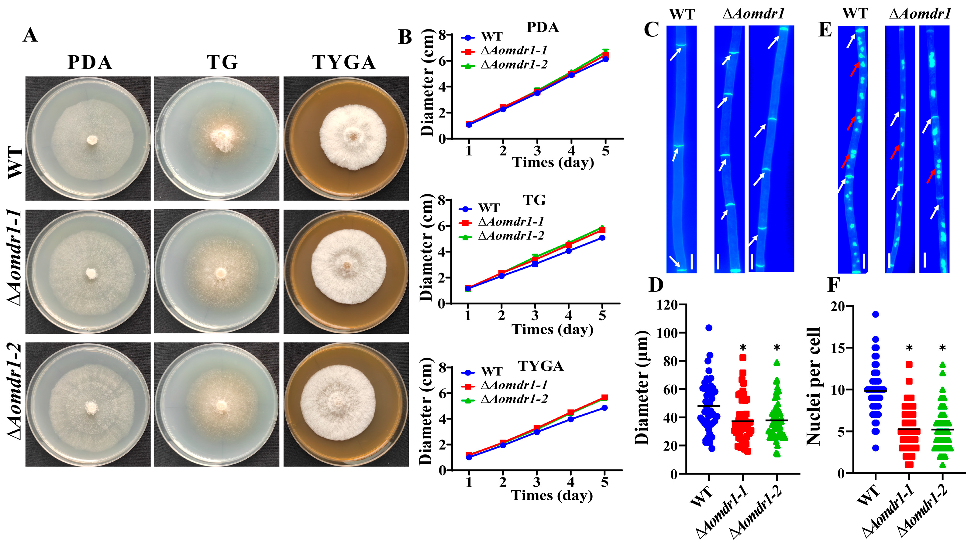 Microorganisms 11 01612 g001