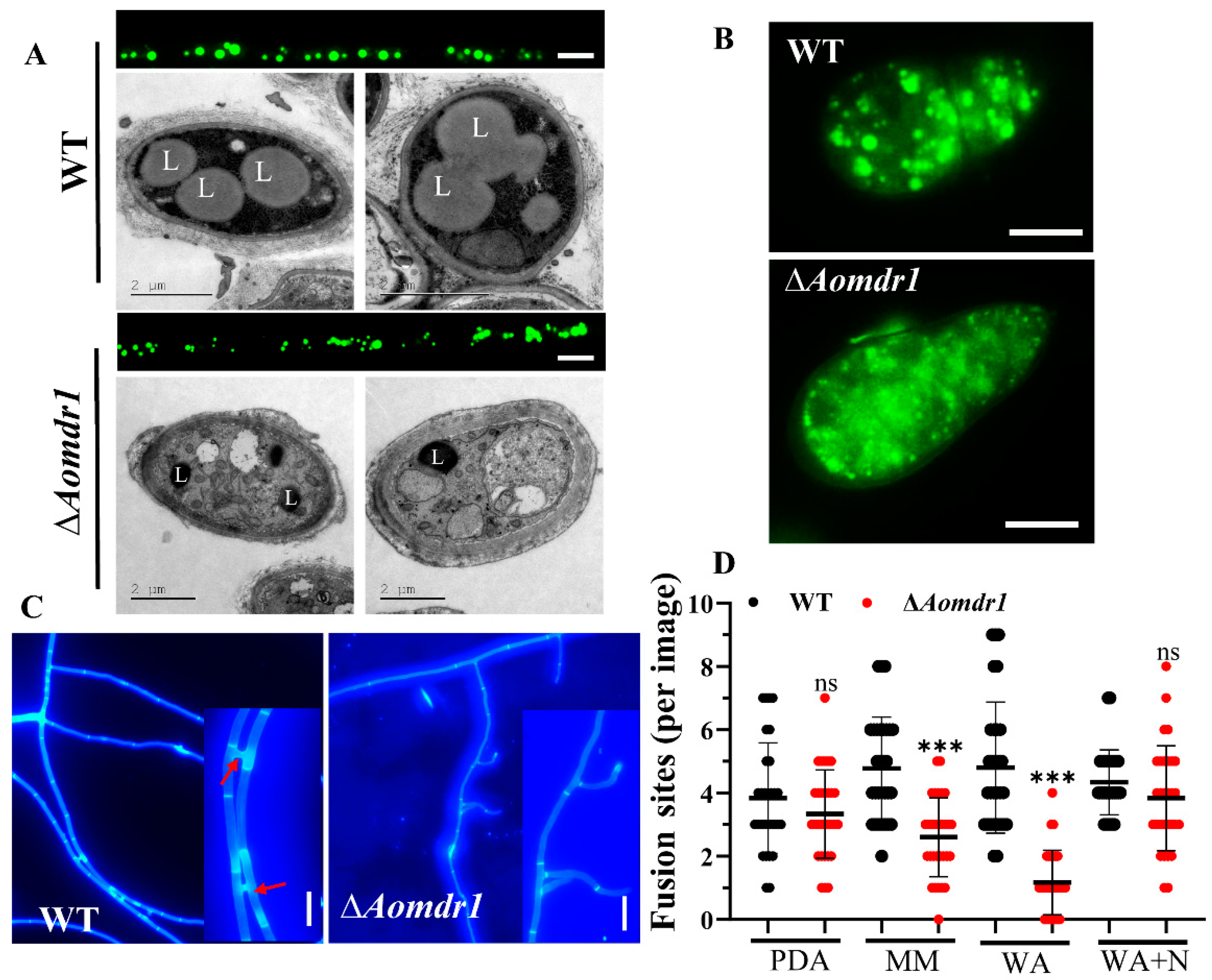 Microorganisms 11 01612 g002