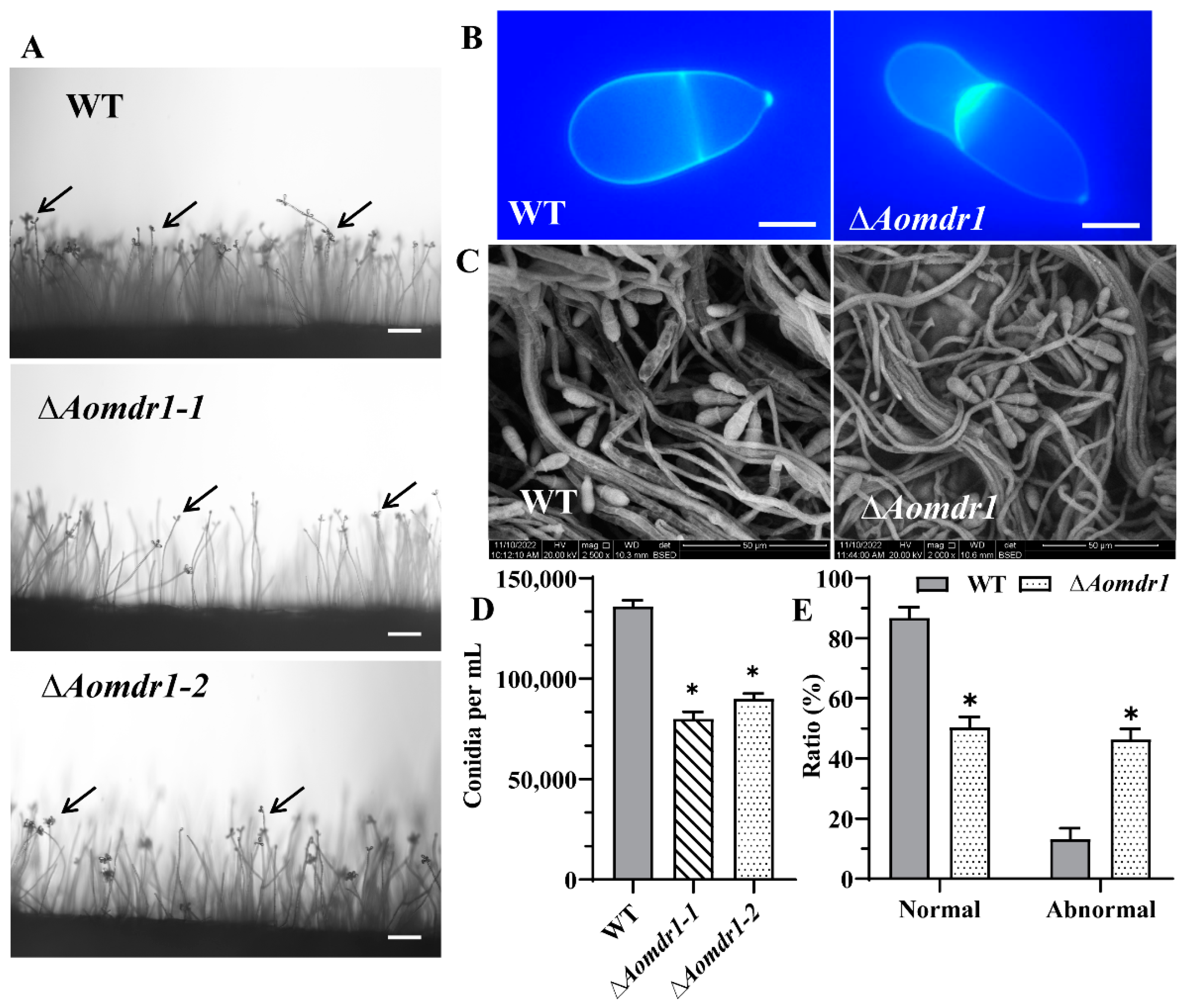 Microorganisms 11 01612 g004