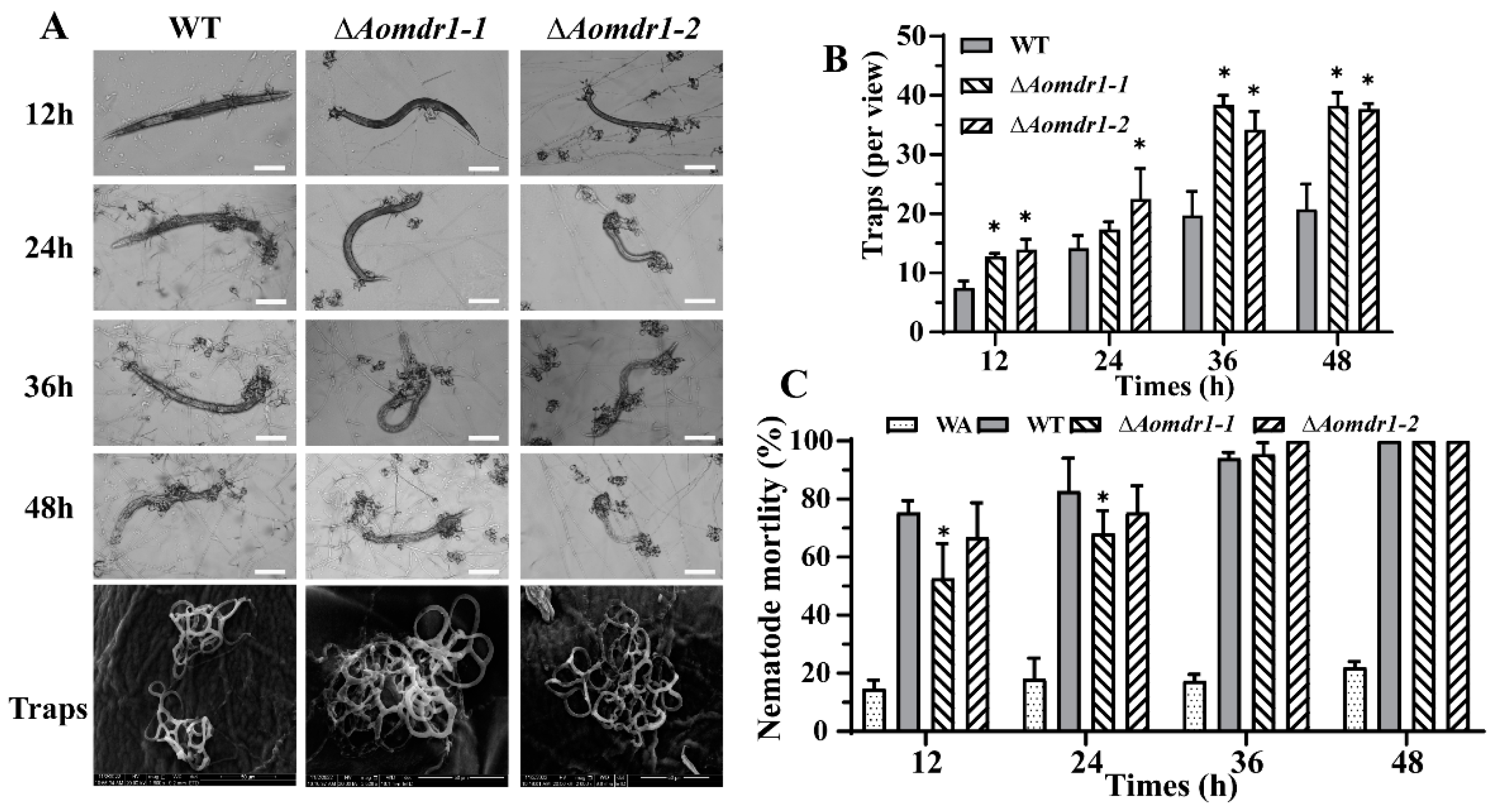 Microorganisms 11 01612 g005