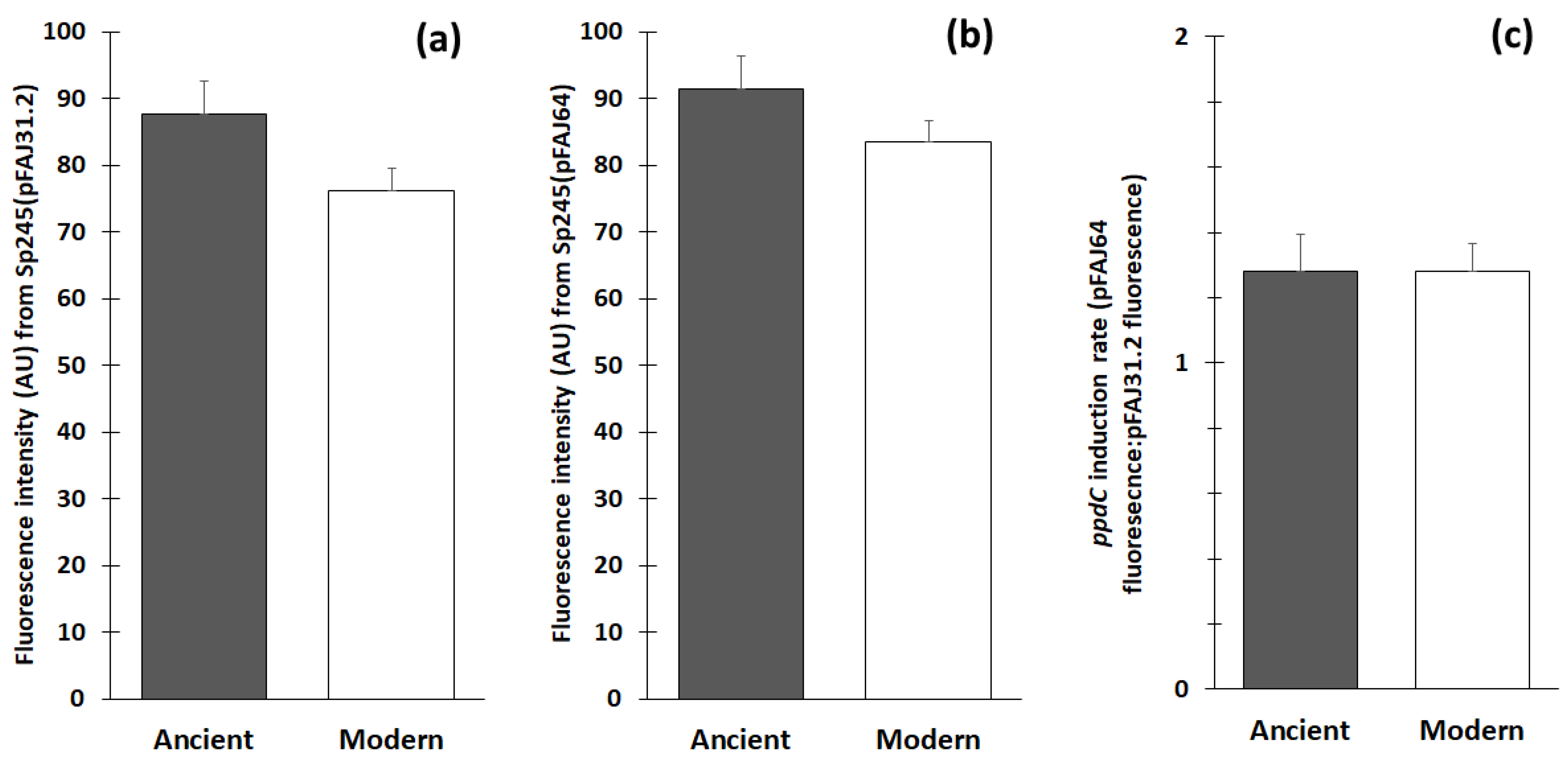 Microorganisms 11 01615 g002 Microorganisms 11 01615 g002