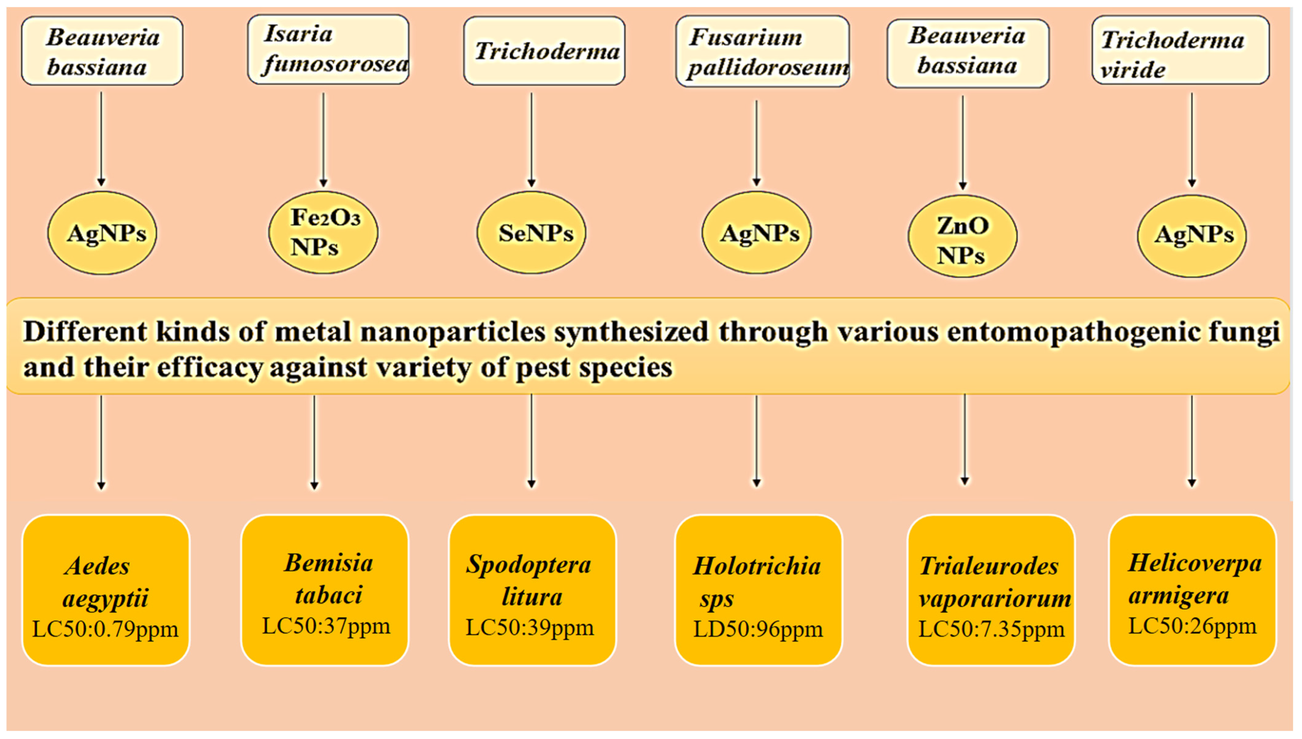 Microorganisms 11 01617 g003