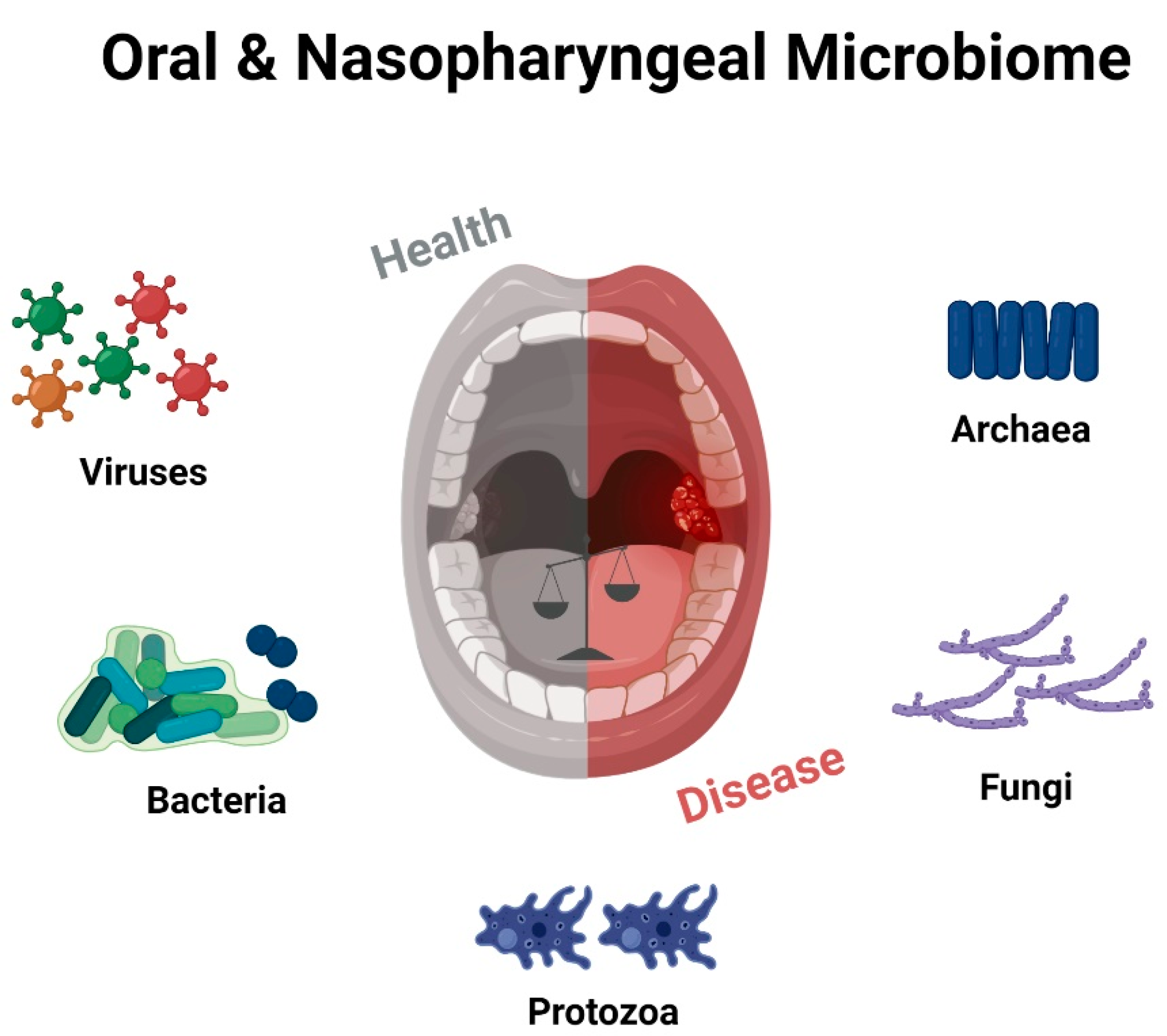 Microorganisms 11 01624 g002