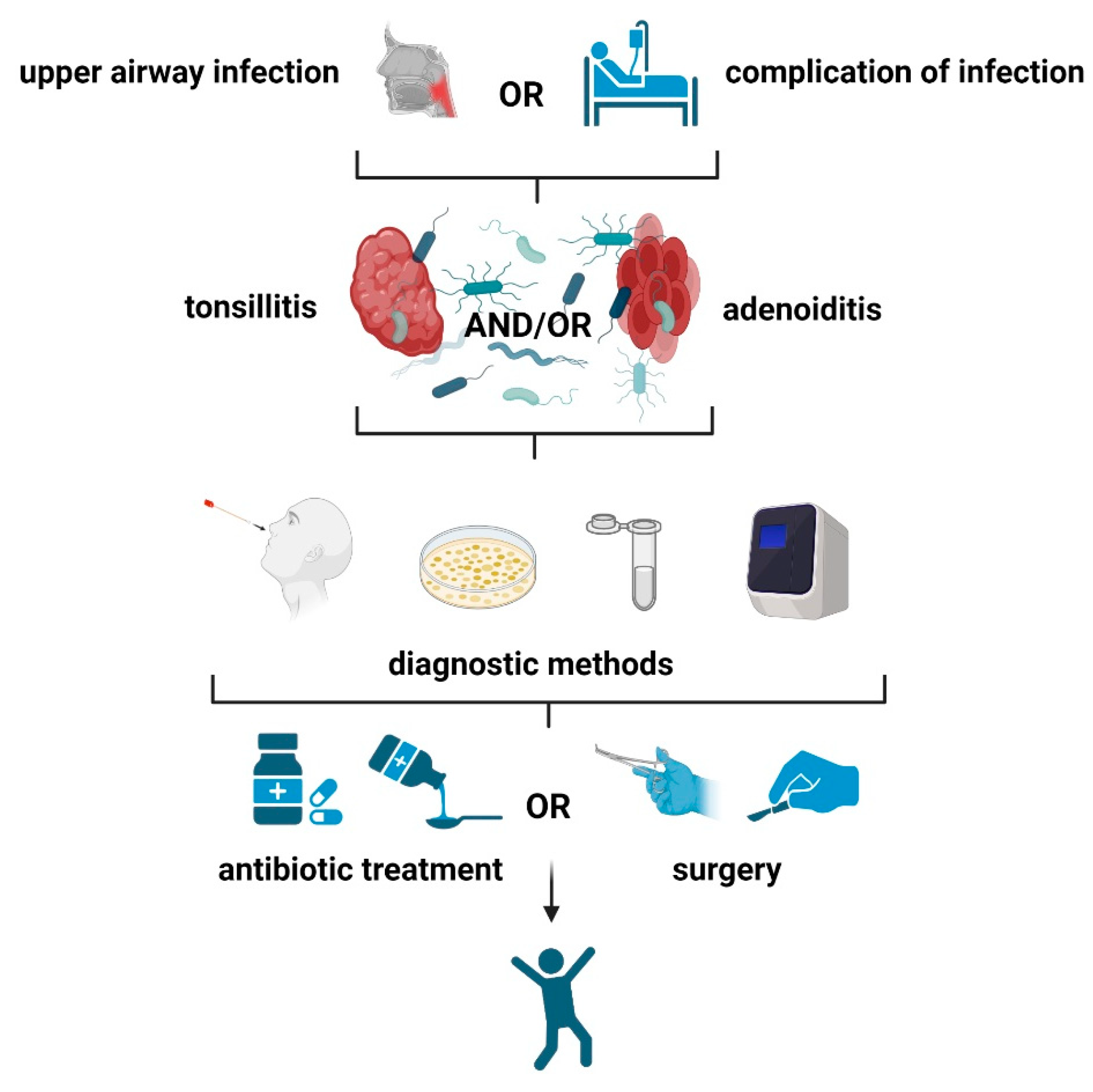 Microorganisms 11 01624 g003