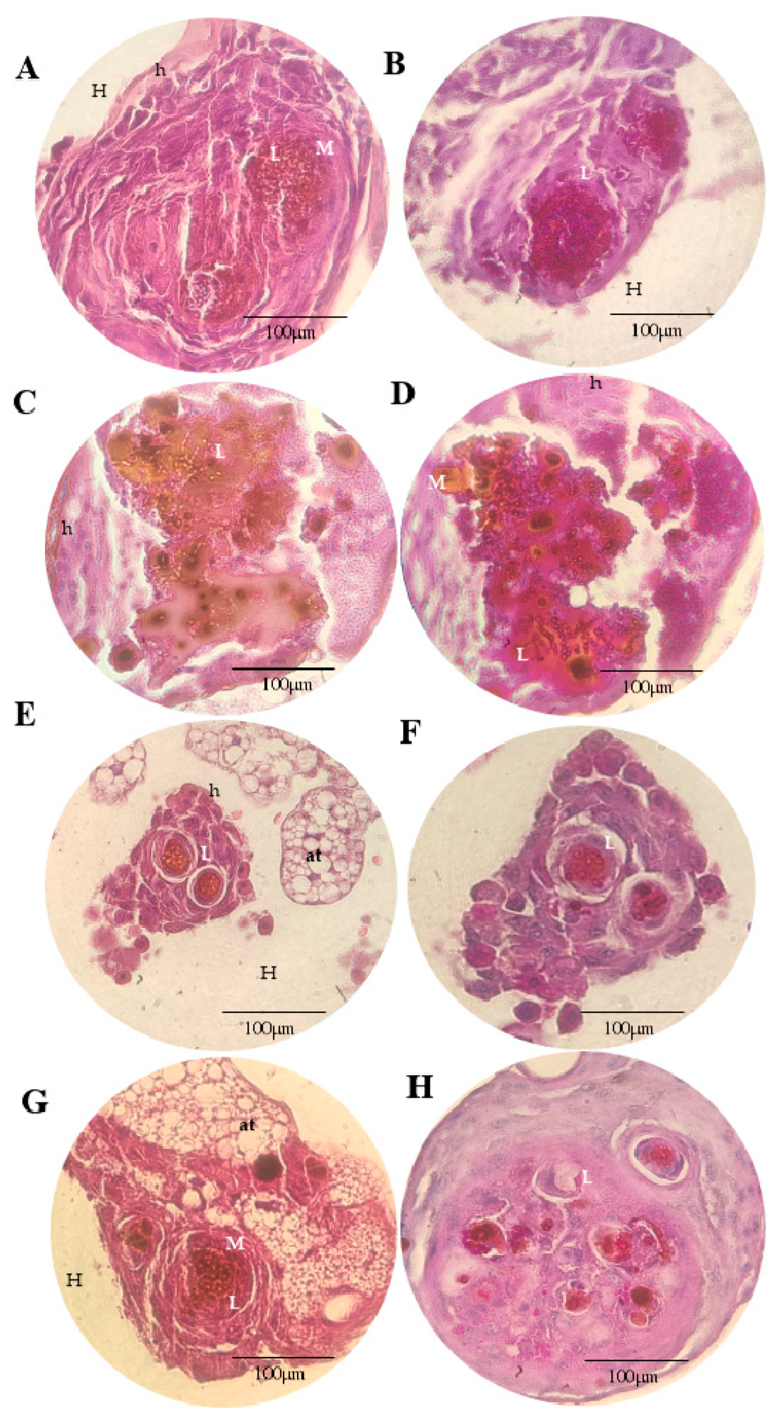 Microorganisms 11 01626 g006 Microorganisms 11 01626 g006