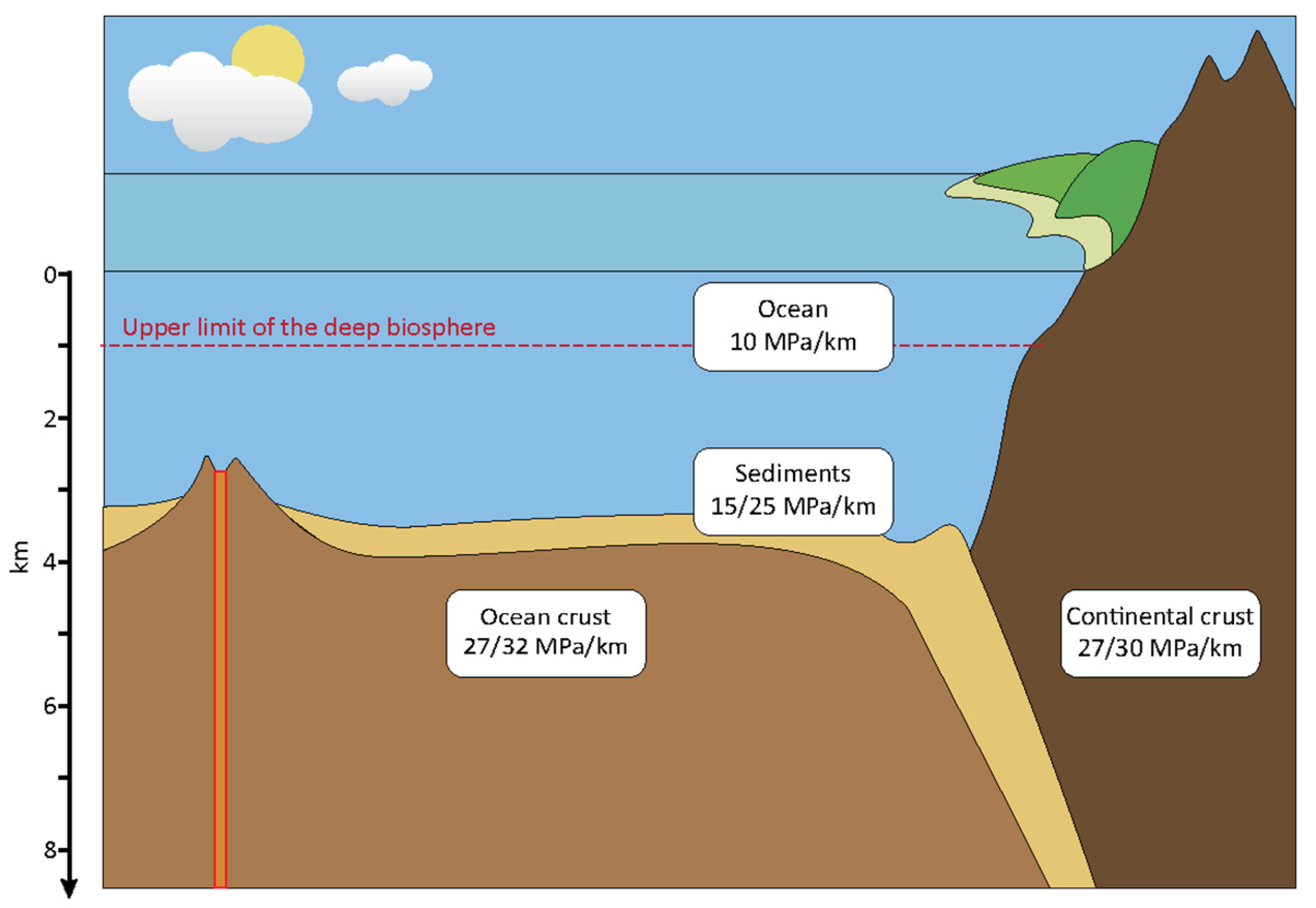 Microorganisms 11 01629 g001 Microorganisms 11 01629 g001