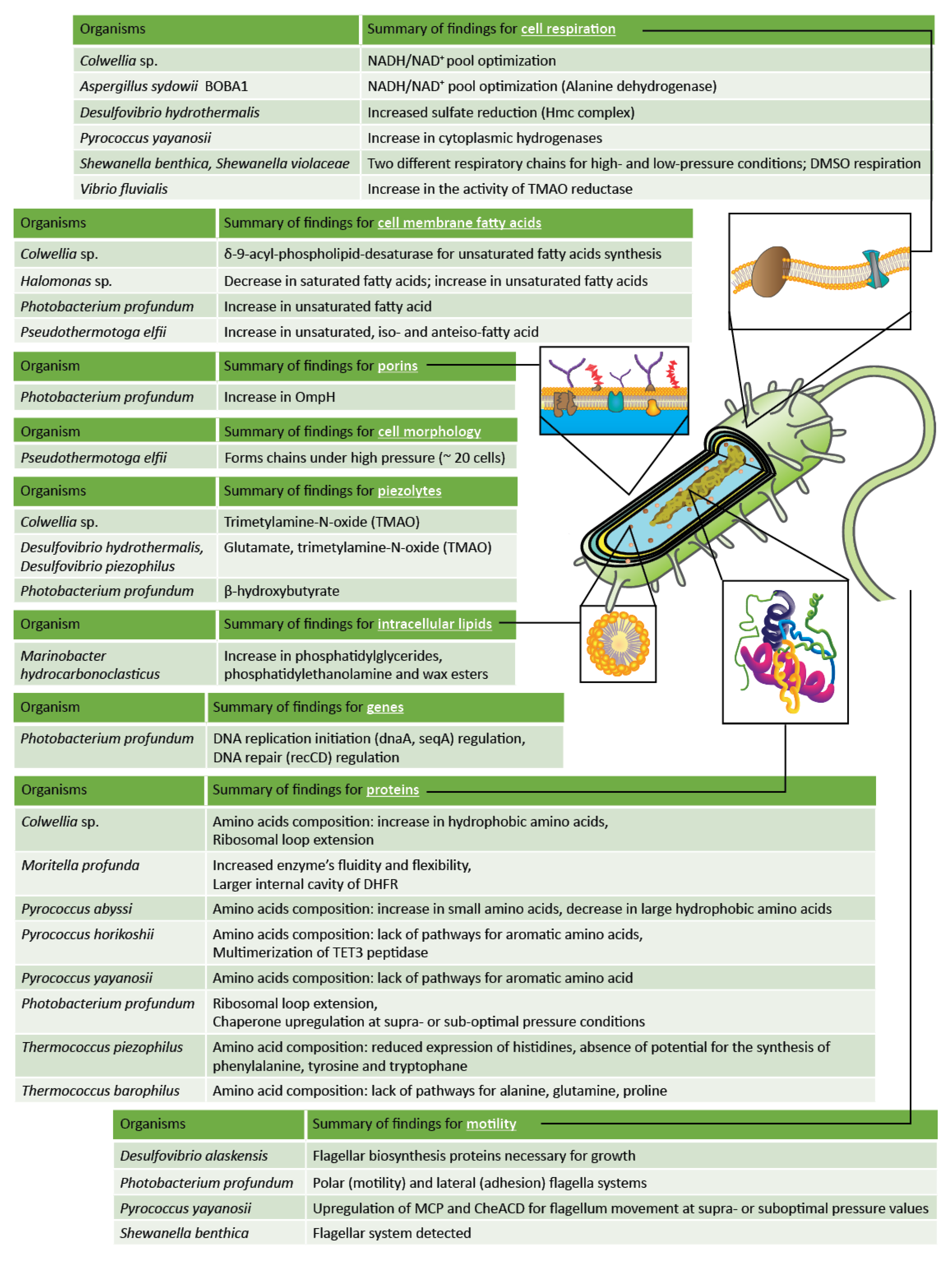 Microorganisms 11 01629 g002 Microorganisms 11 01629 g002
