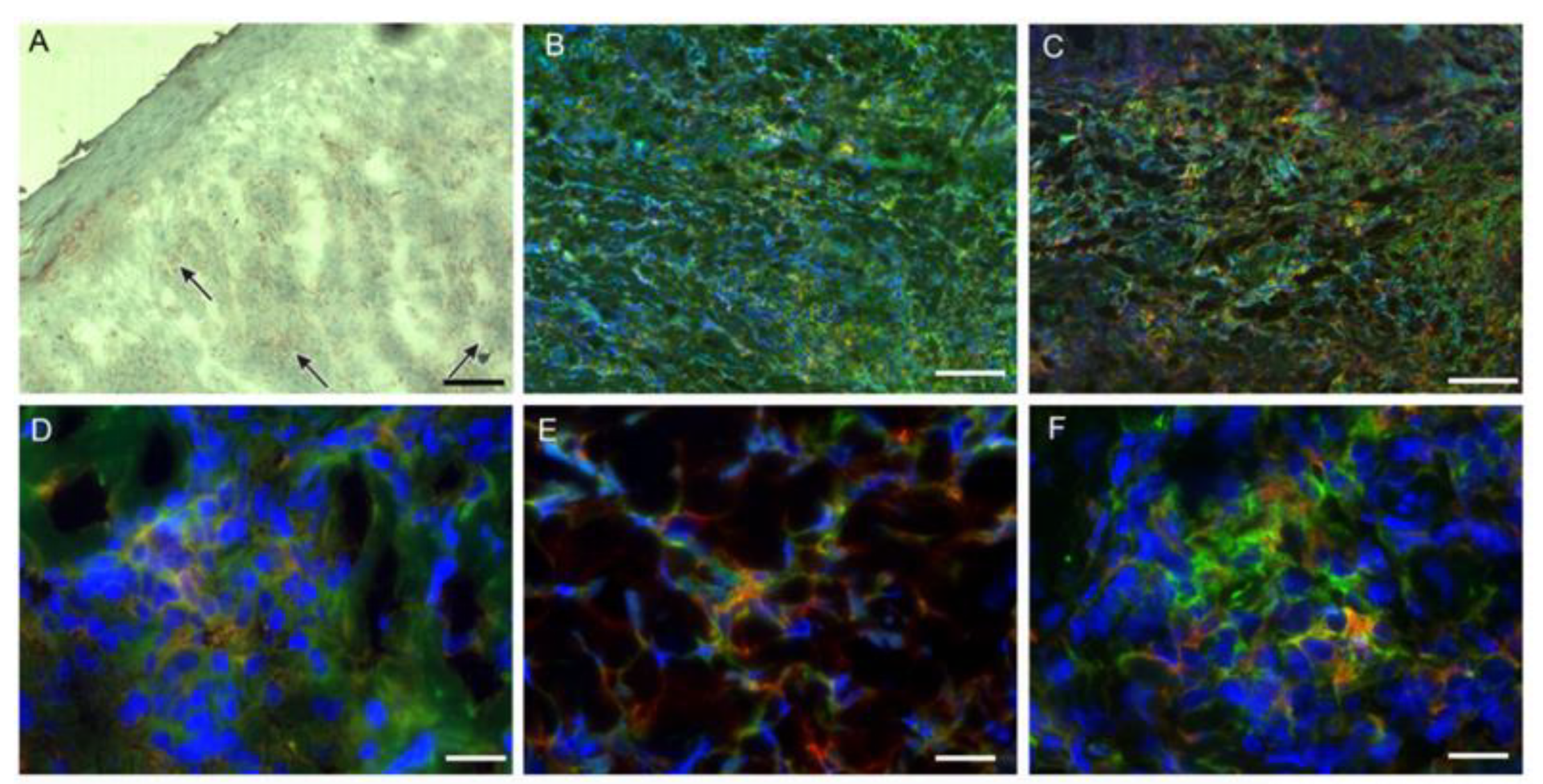 Microorganisms 11 01631 g003 Microorganisms 11 01631 g003