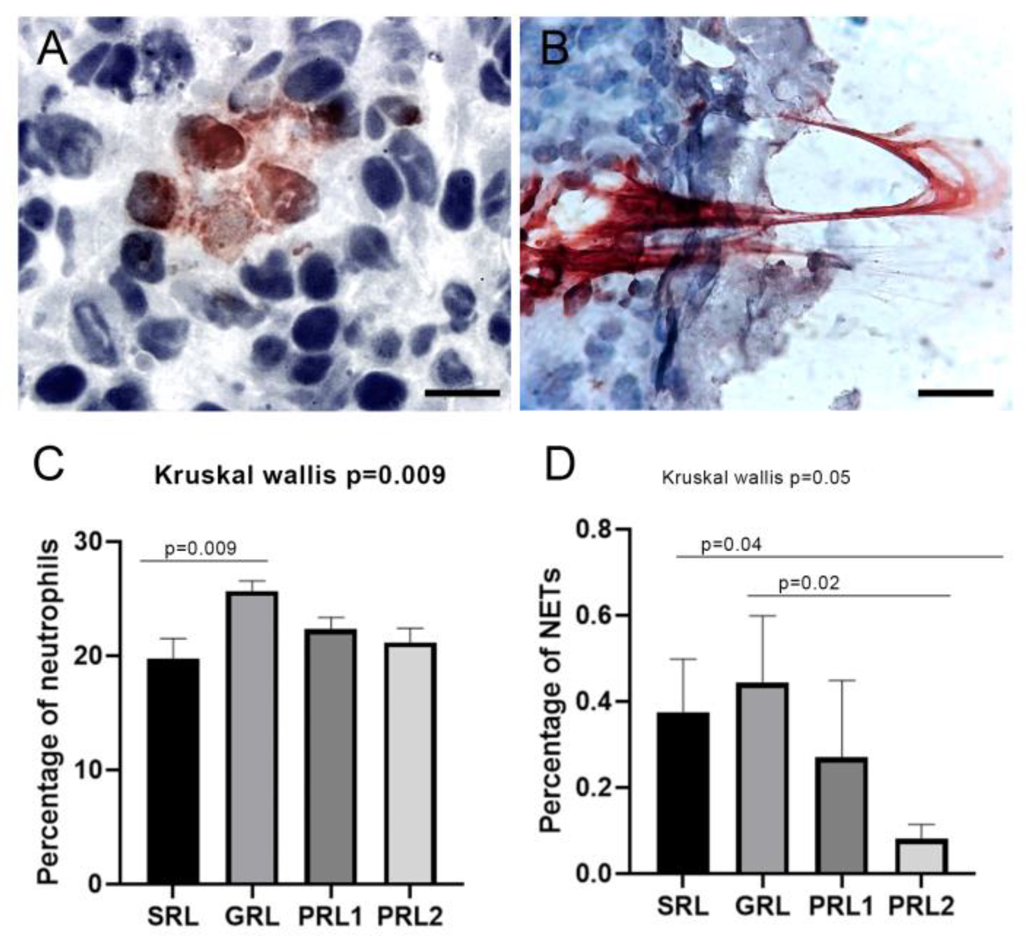 Microorganisms 11 01631 g004 Microorganisms 11 01631 g004