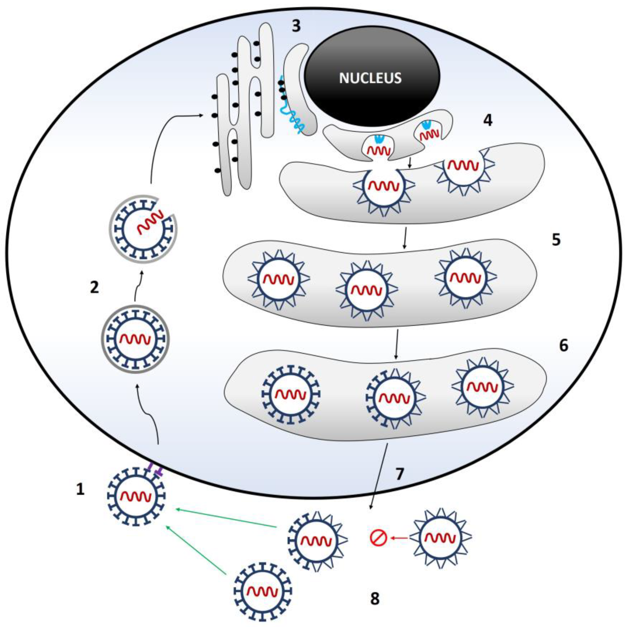 Microorganisms 11 01634 g002 Microorganisms 11 01634 g002