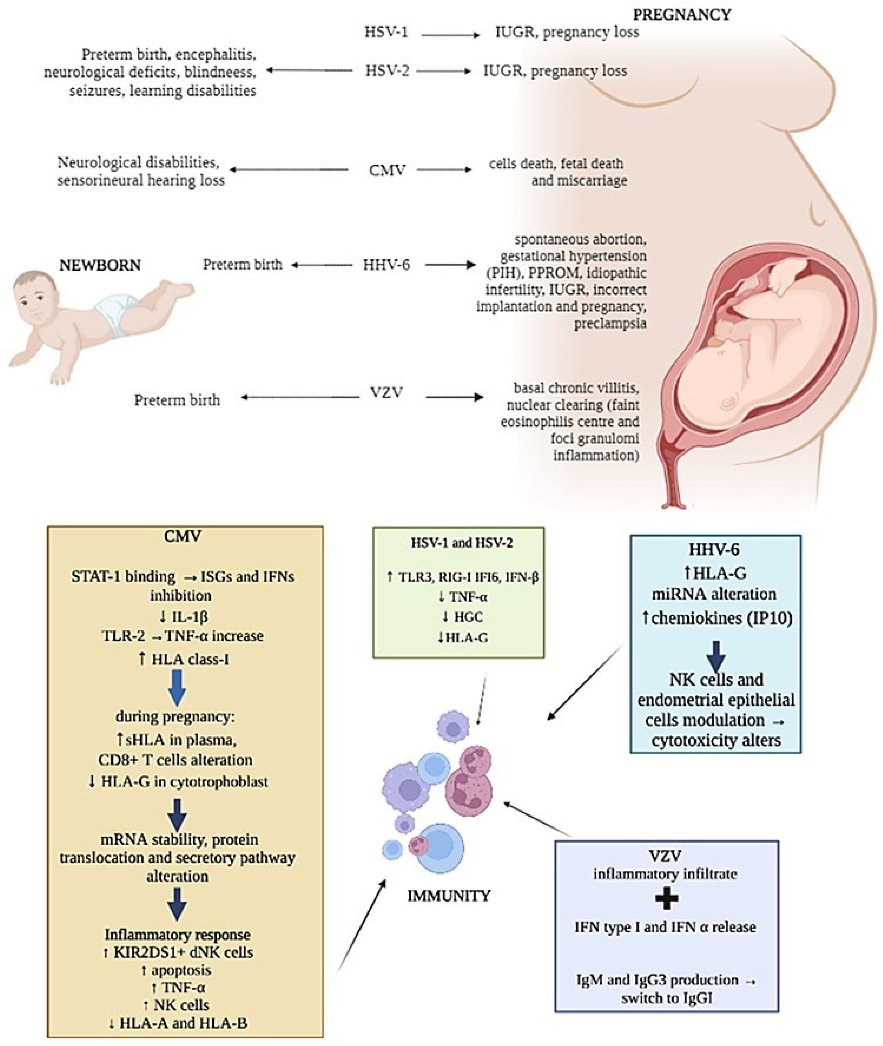 Microorganisms 11 01637 g002