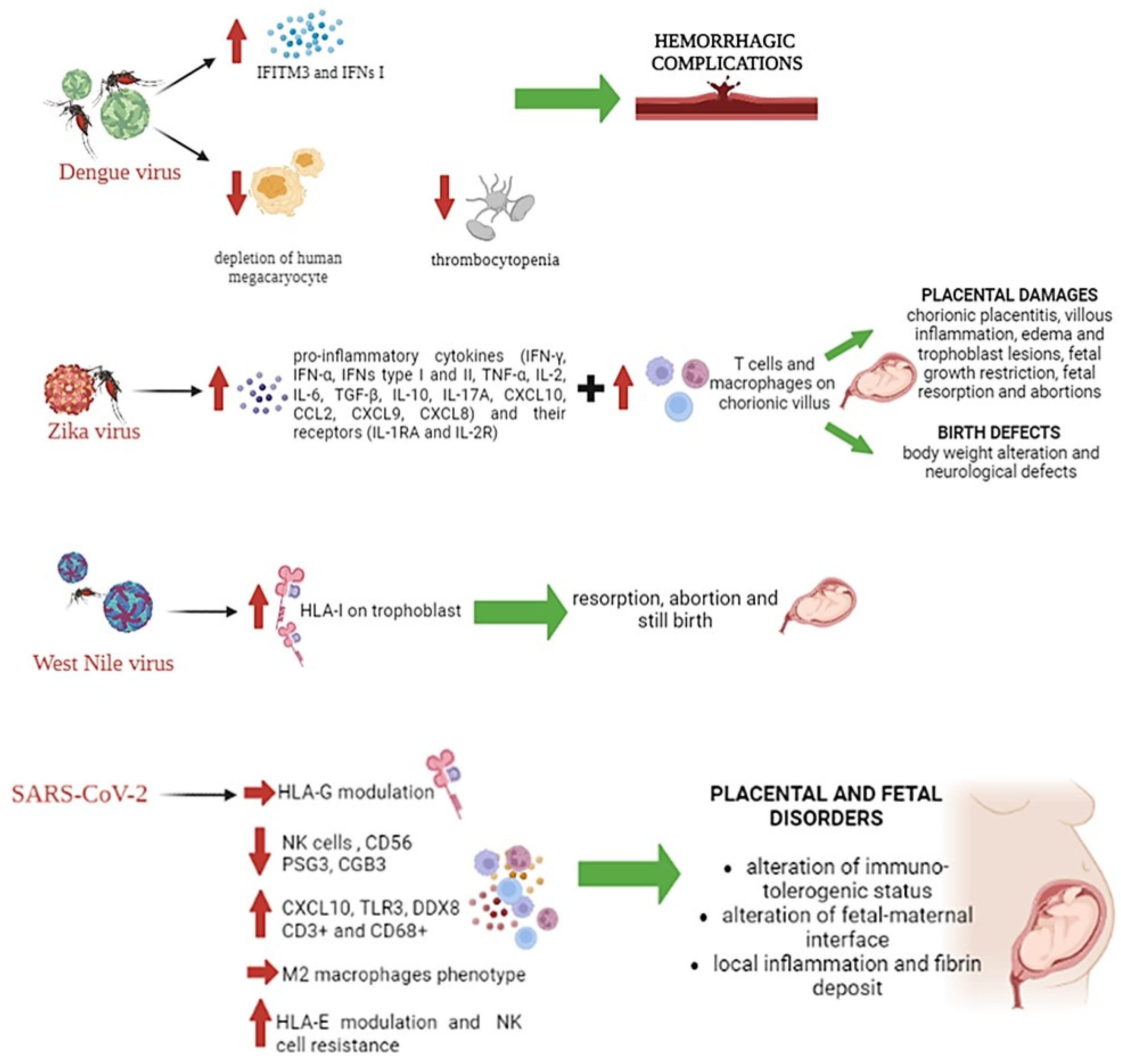Microorganisms 11 01637 g004