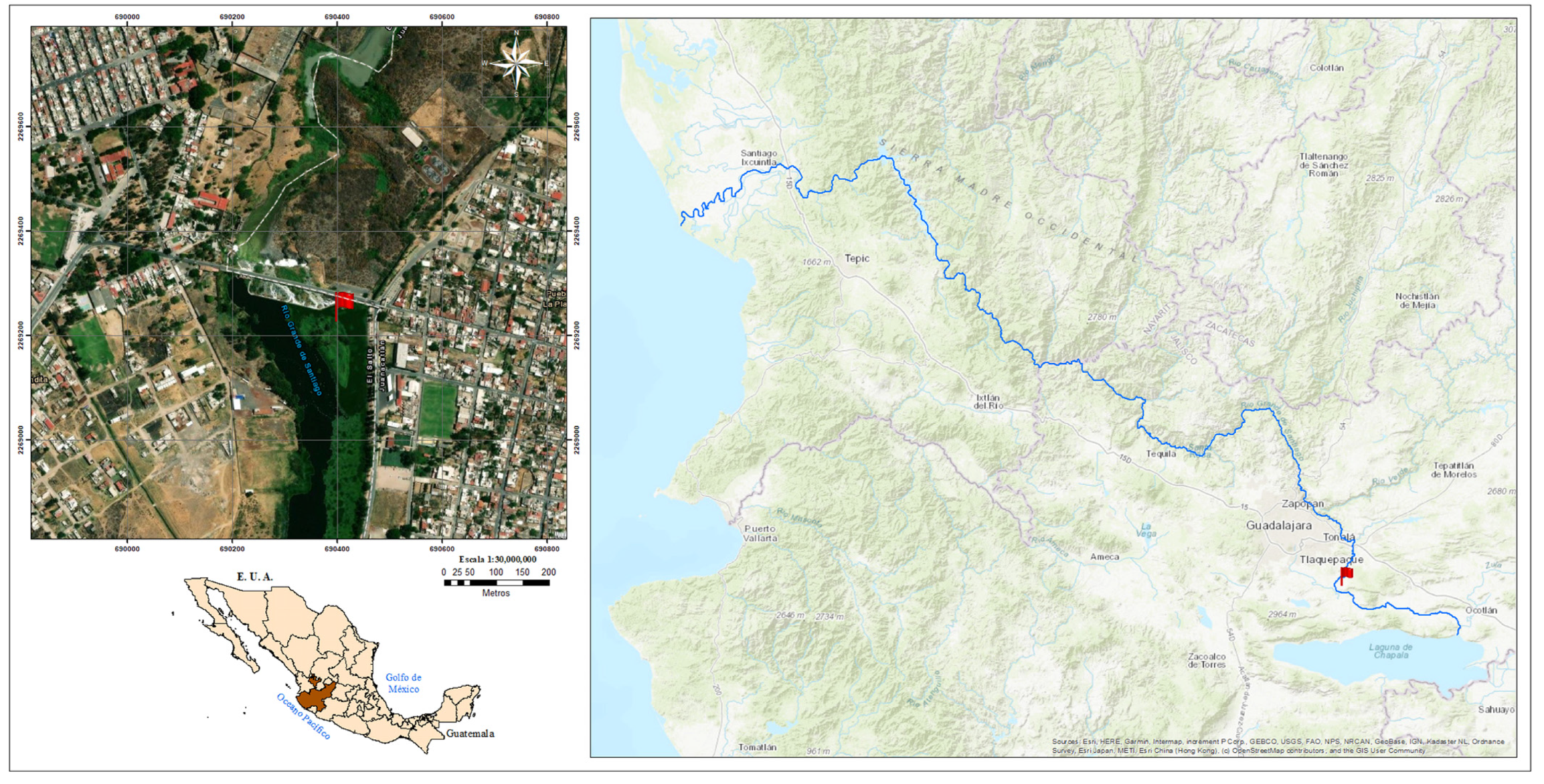 Microorganisms 11 01640 g001 Microorganisms 11 01640 g001