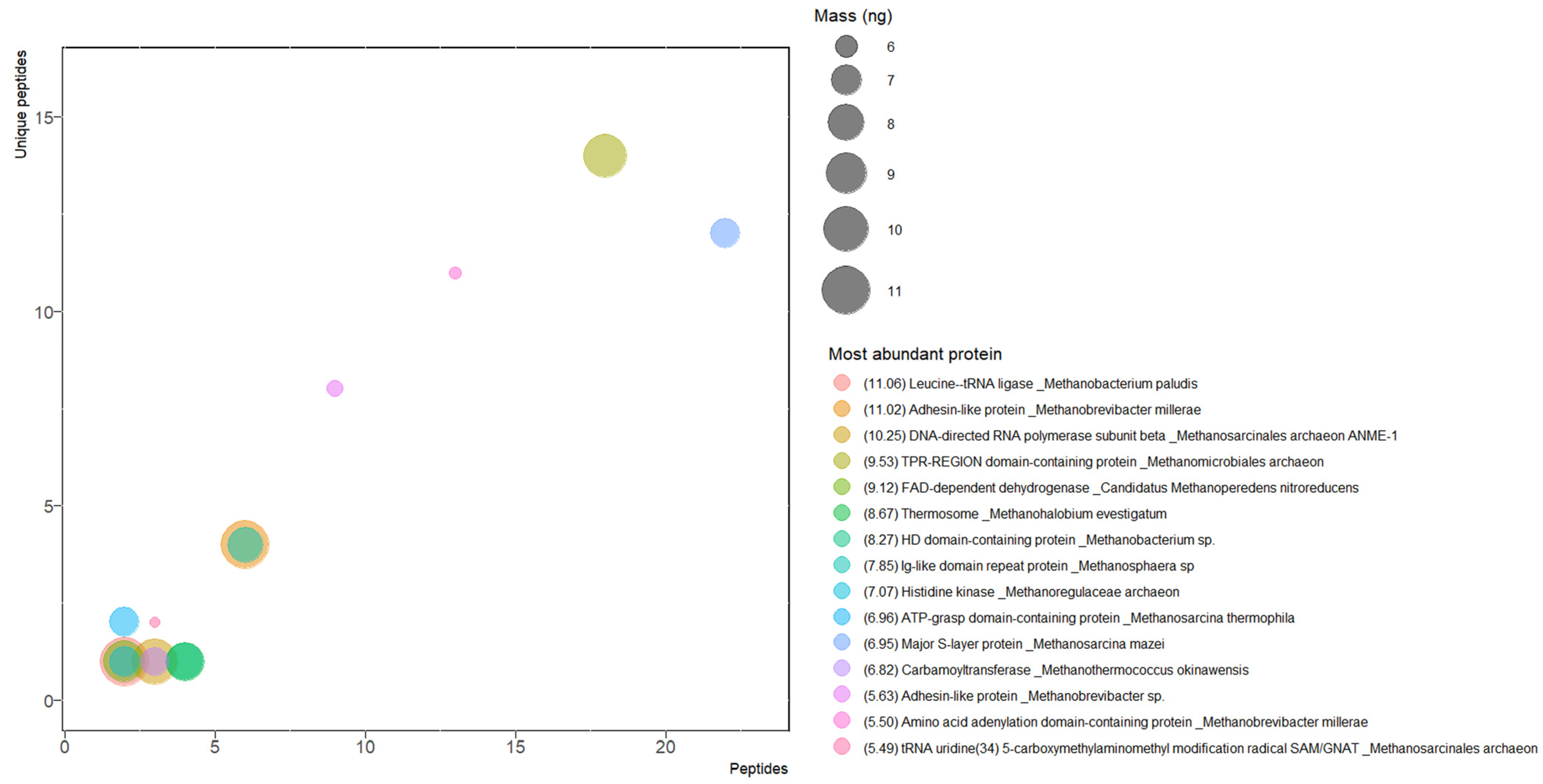 Microorganisms 11 01640 g004 Microorganisms 11 01640 g004